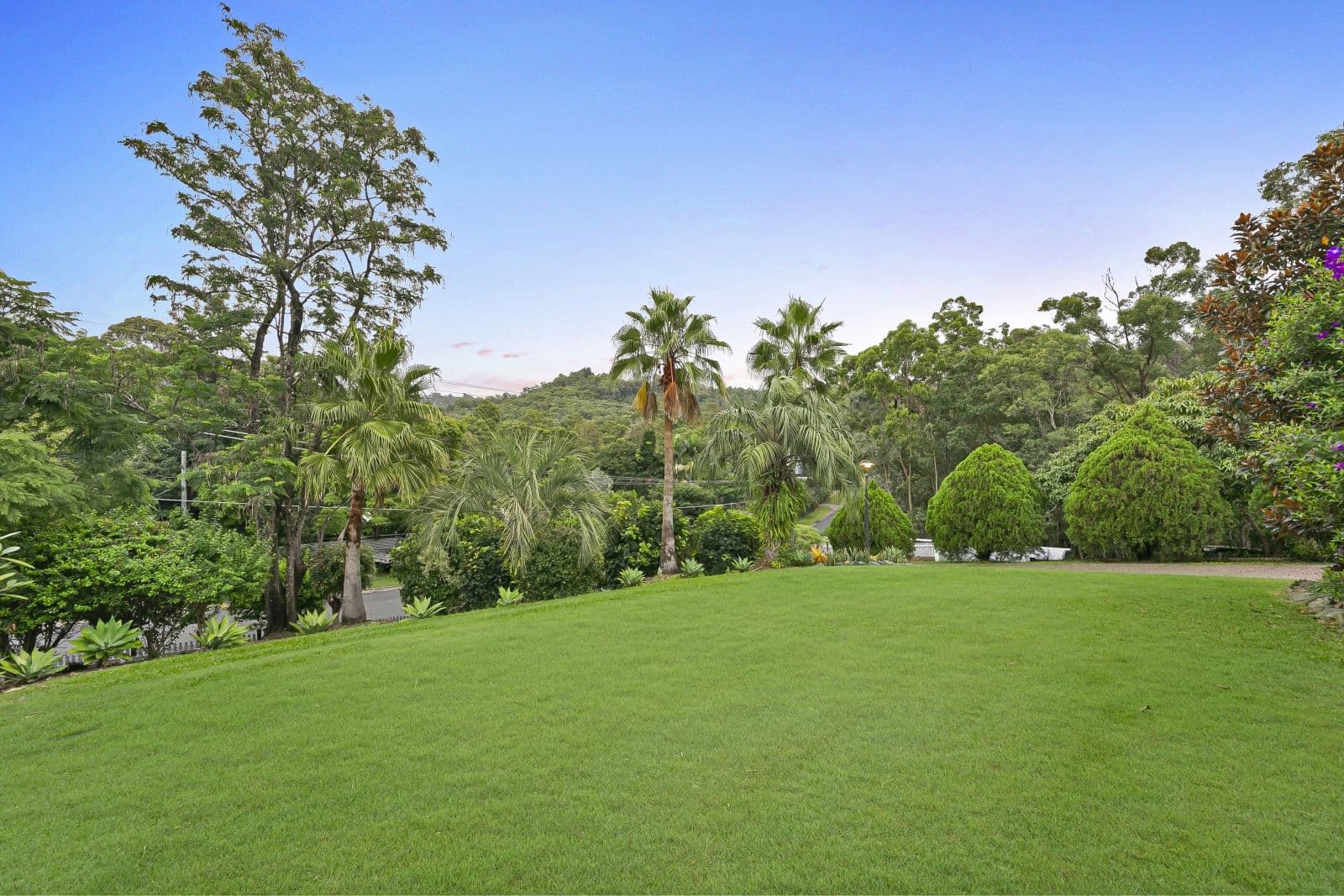 7 Hugh Guinea Court, Worongary QLD 4213, Worongary - Thumbnail 5