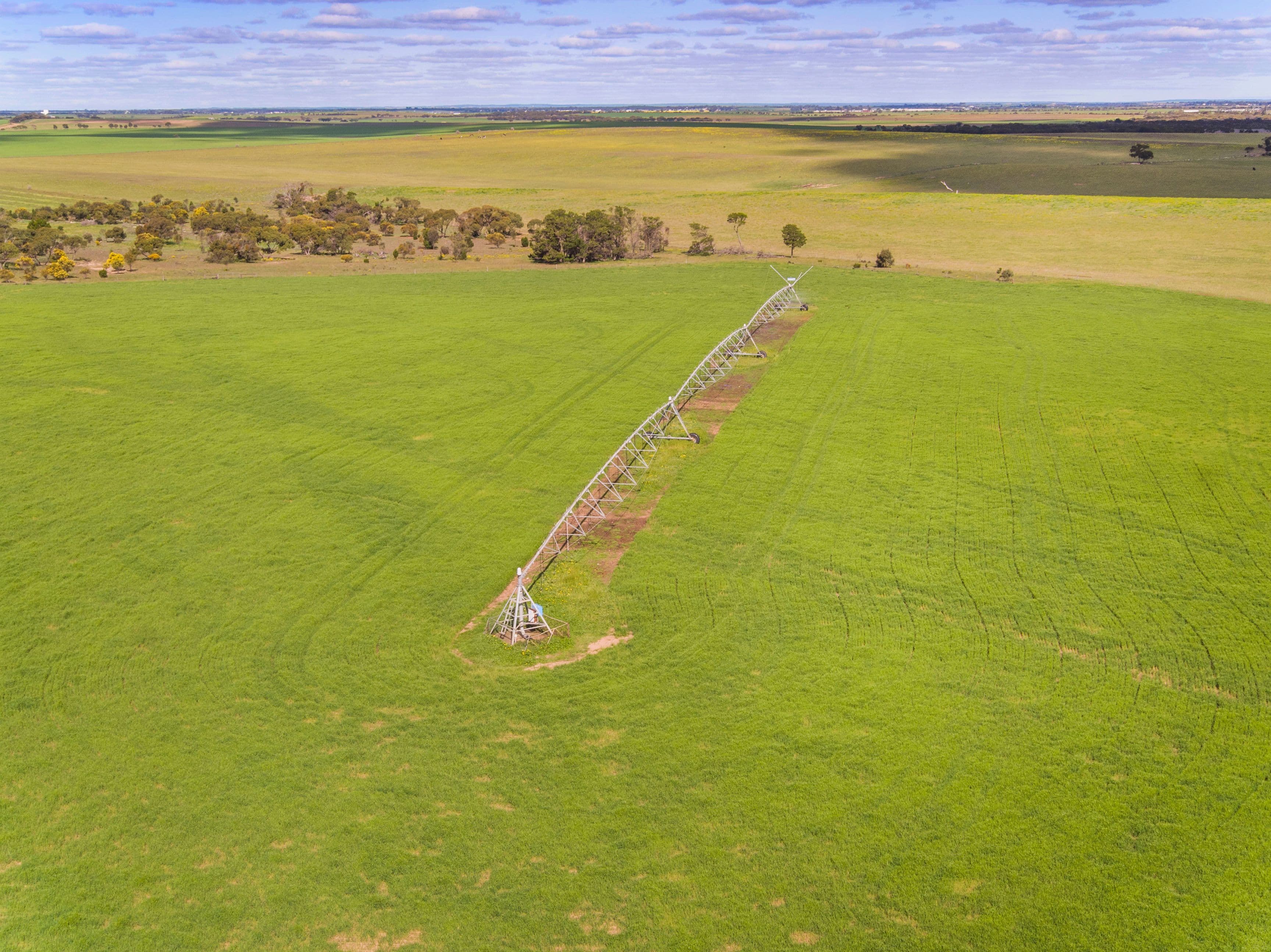 'Dieners' - Lot 1176 Longs Road, Woods Point SA 5253, Woods Point - Thumbnail 3