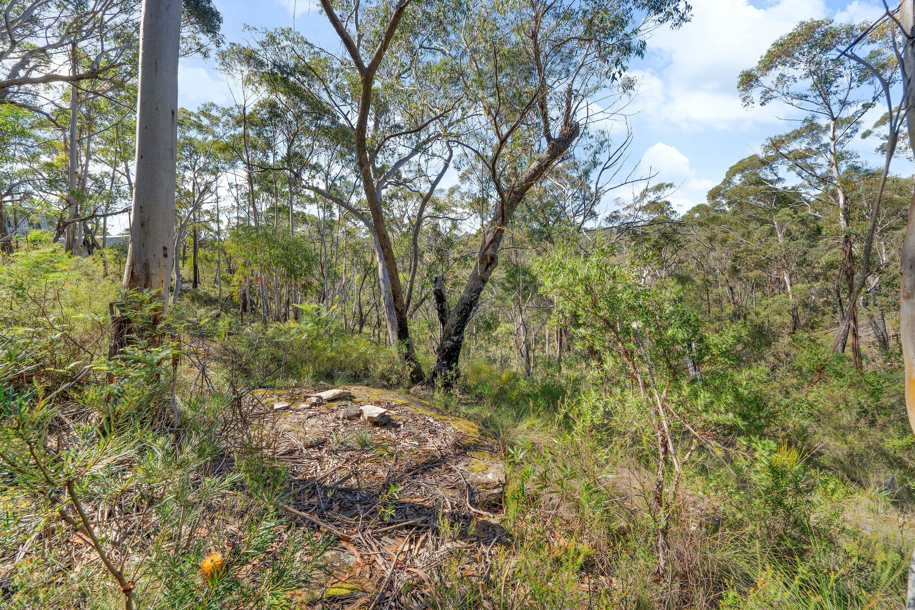 17 Chatsworth Road, Mount Victoria NSW 2786, Mount Victoria - Thumbnail 7