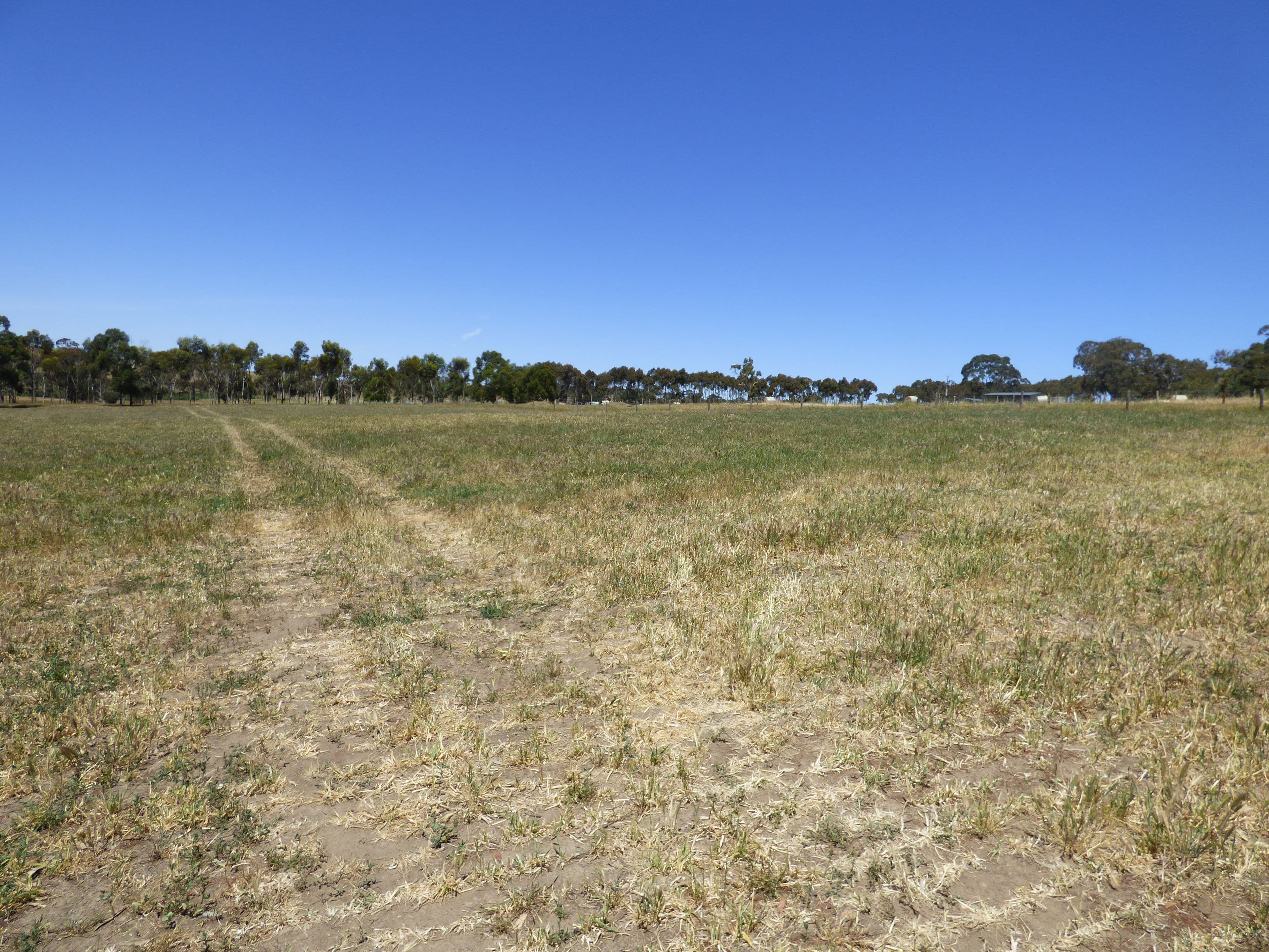 Lot 3 Klenke Road, Wistow SA 5251, Wistow - Thumbnail 5