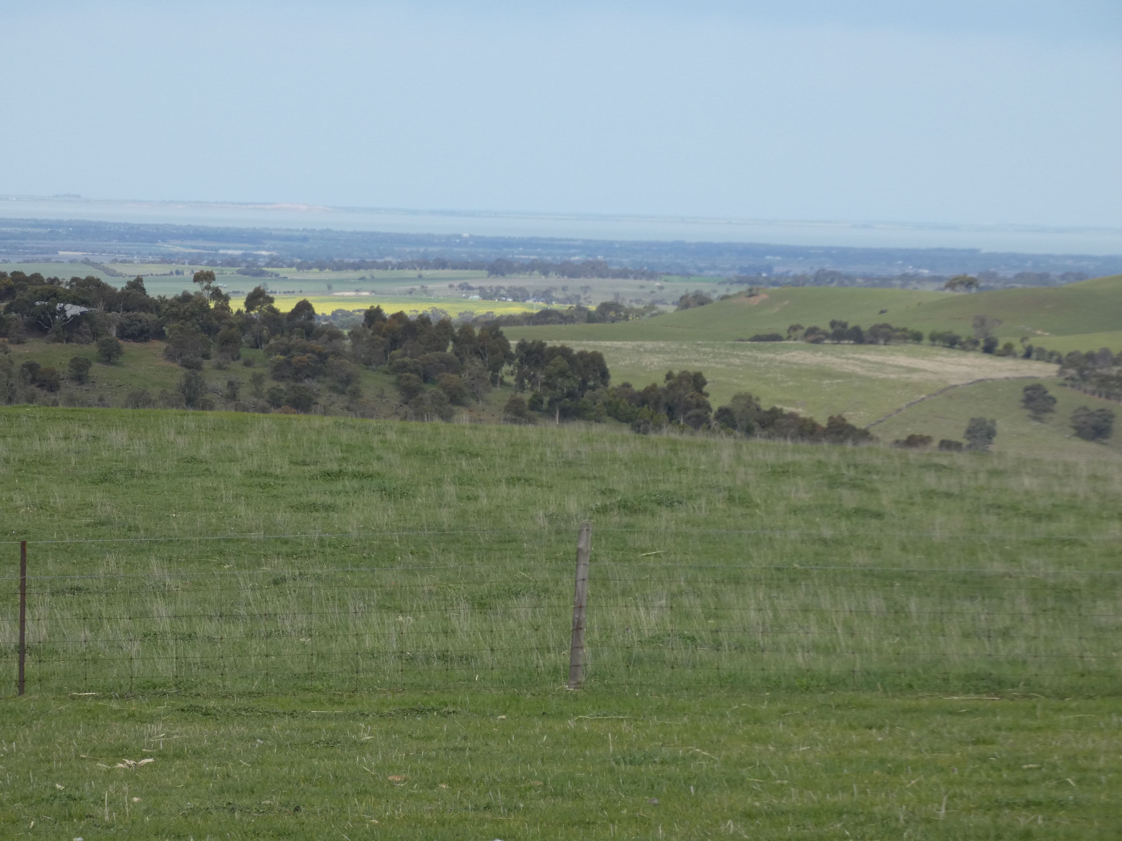 82F Treutler Road, Wistow SA 5251, Wistow - Thumbnail 7