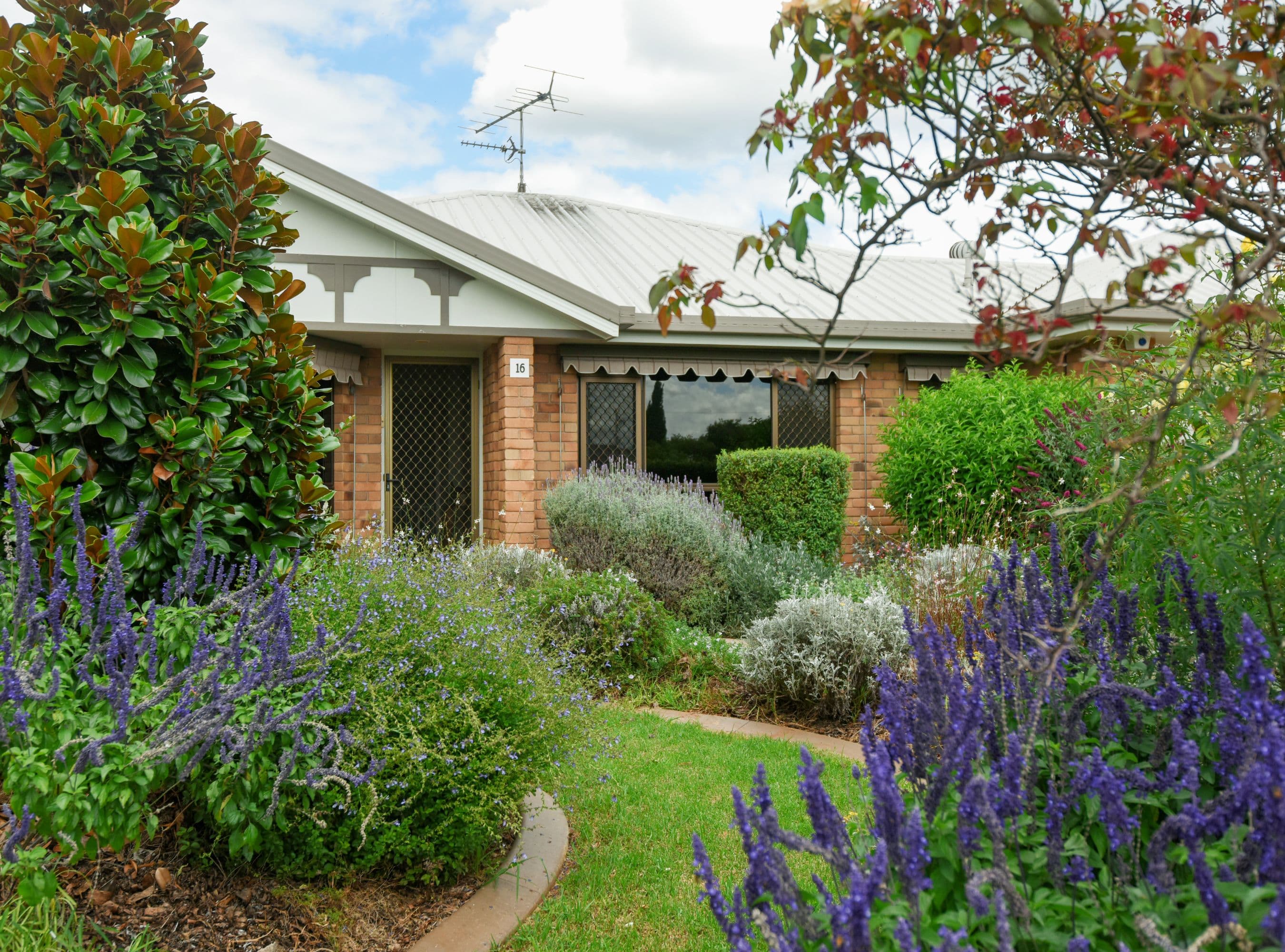 16 Falconer Court, Rangeville QLD 4350, Rangeville - Image 1