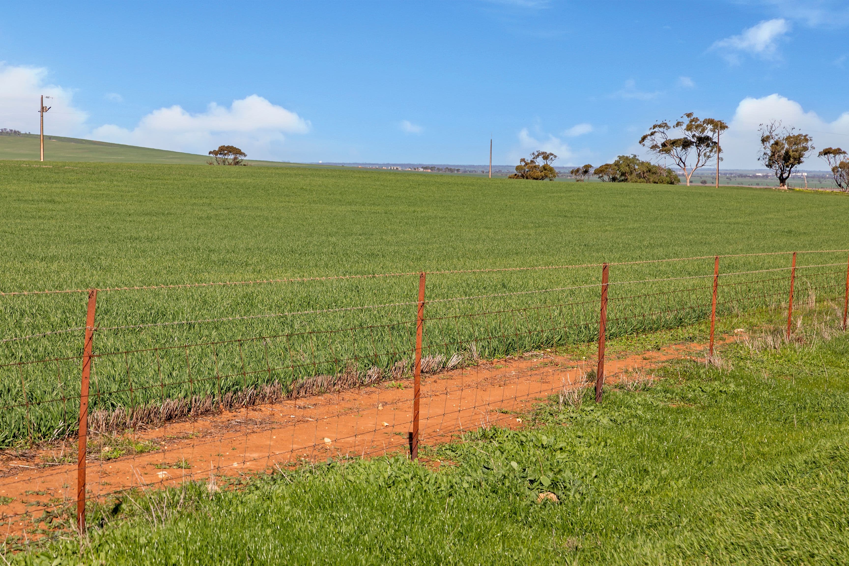 'Allanbie' Pipeline Road, Nantawarra SA 5550, Nantawarra - Image 1