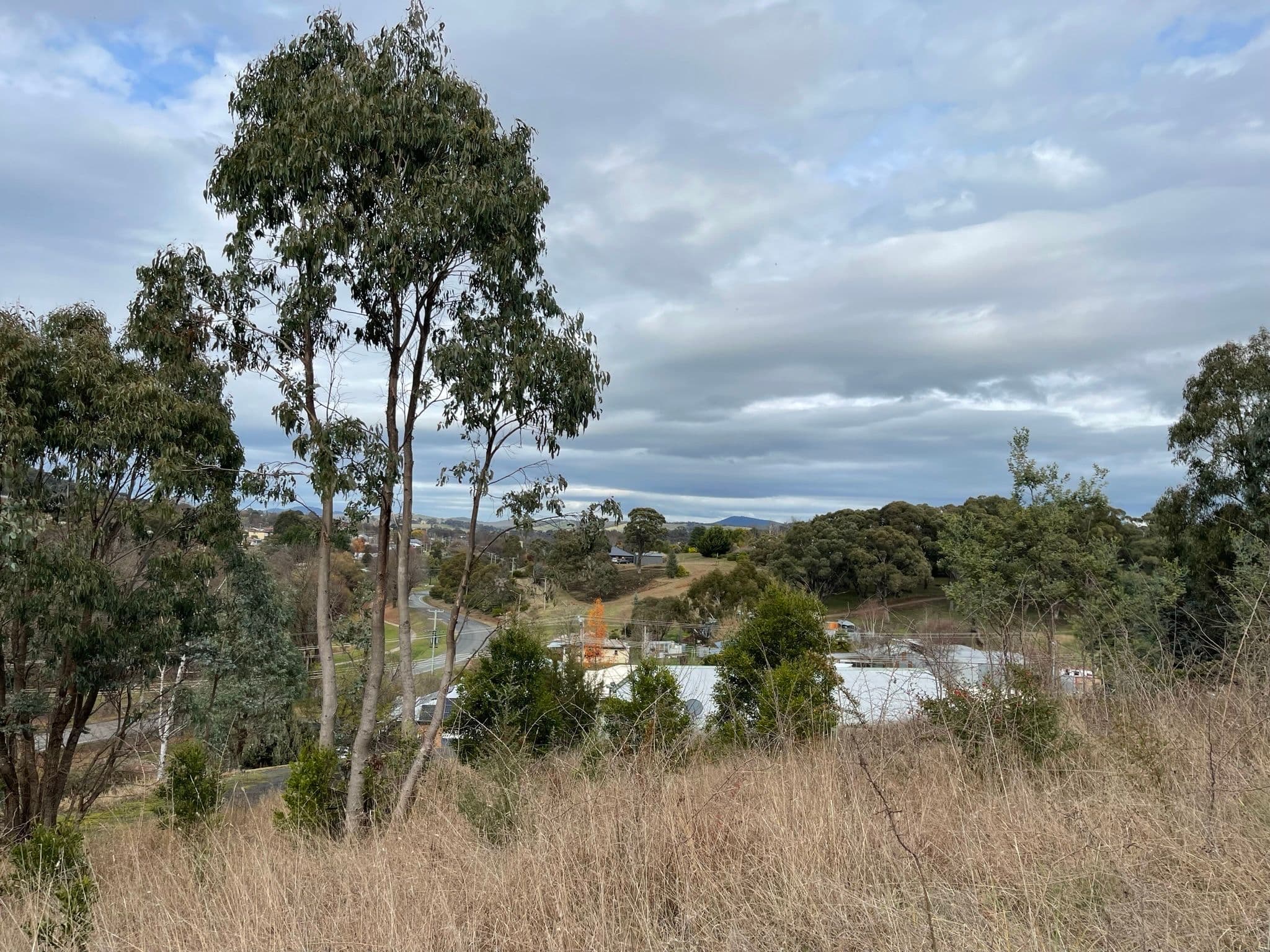 Tumbarumba NSW 2653, Tumbarumba - Thumbnail 3