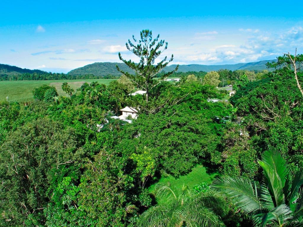 59-61 Alchera Drive, Mossman QLD 4873, Mossman - Thumbnail 7