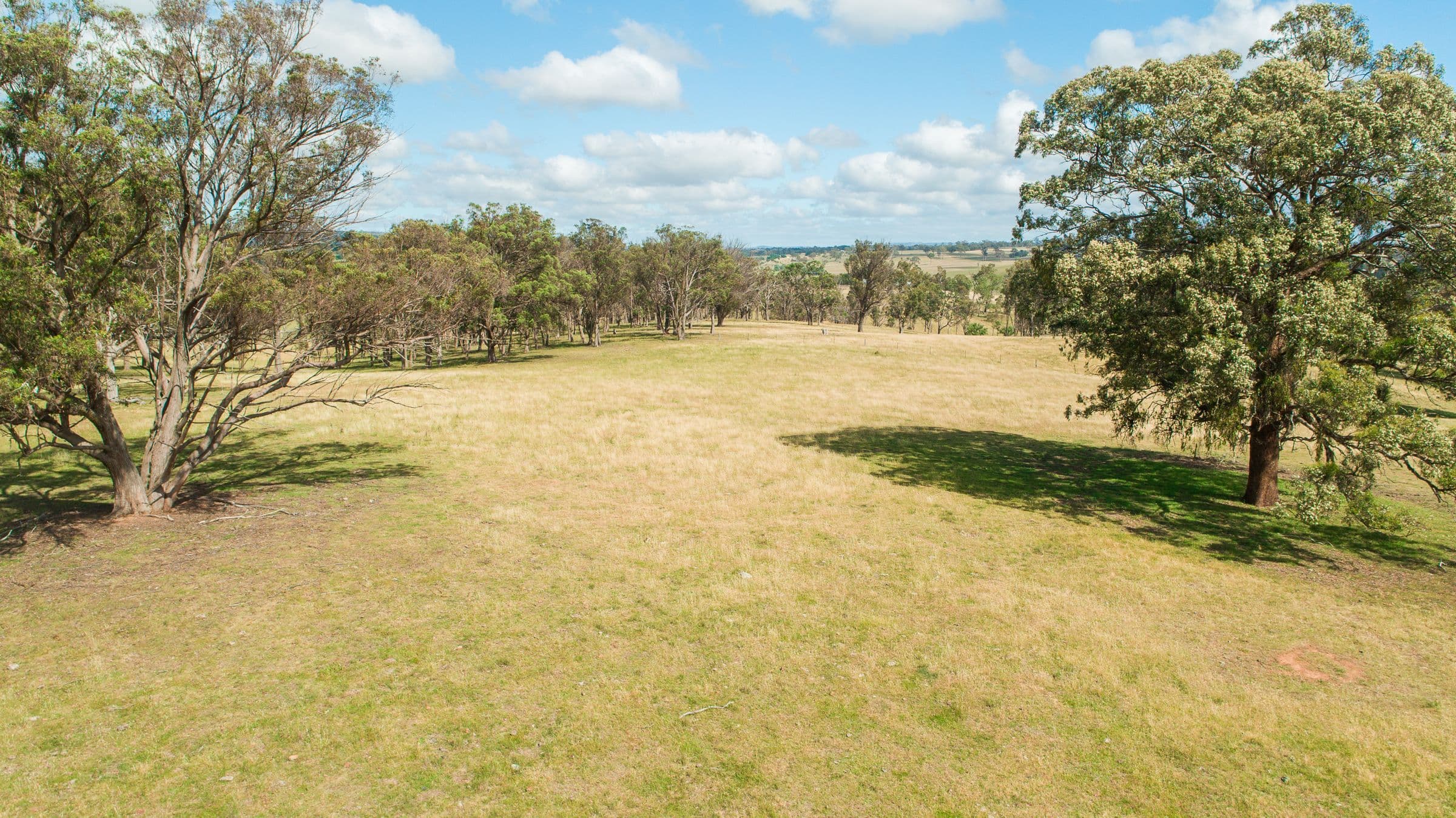 511 Long Swamp Road, Armidale NSW 2350, Armidale - Thumbnail 2