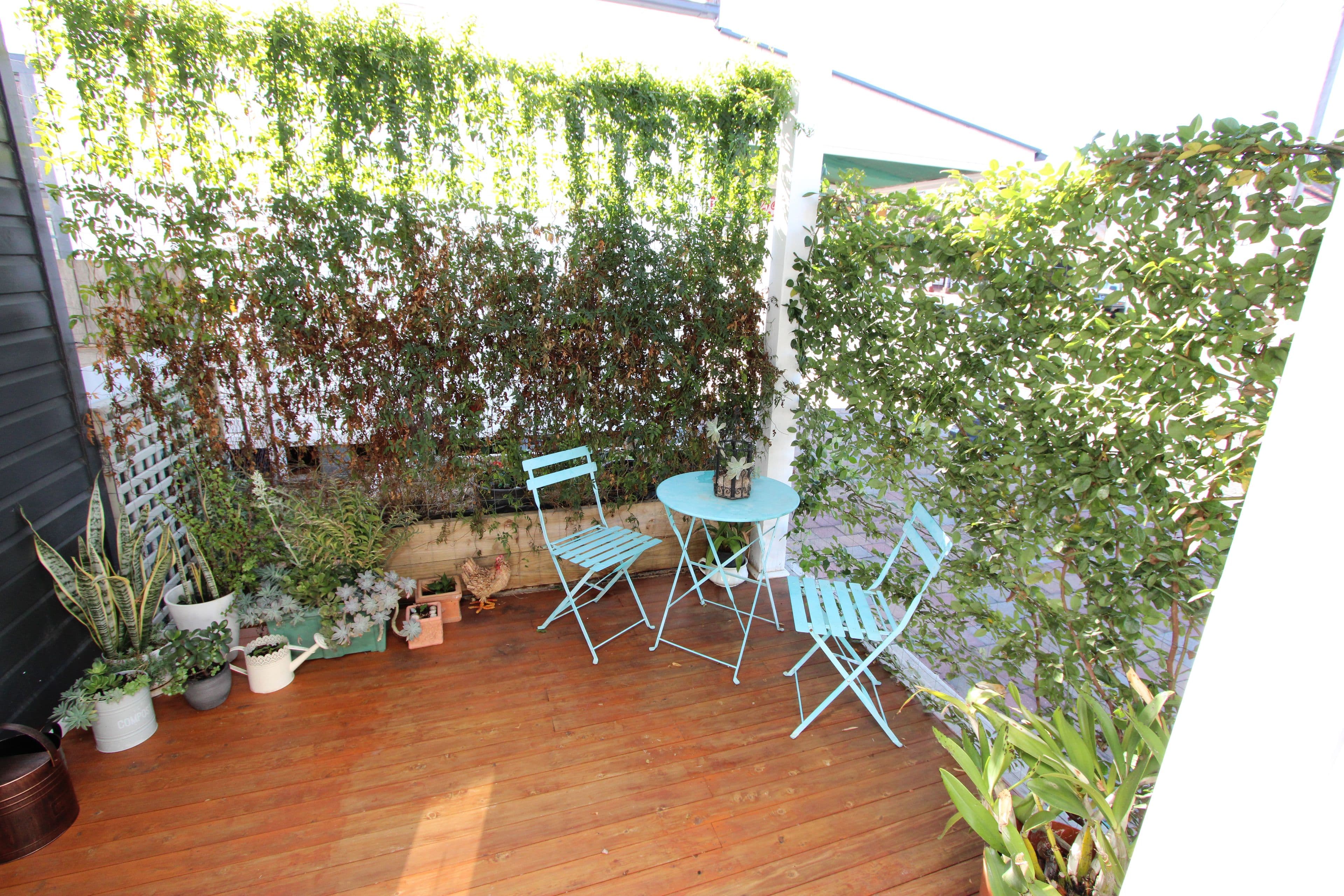 33 Albury Street, Ashford NSW 2361, Ashford - Thumbnail 8