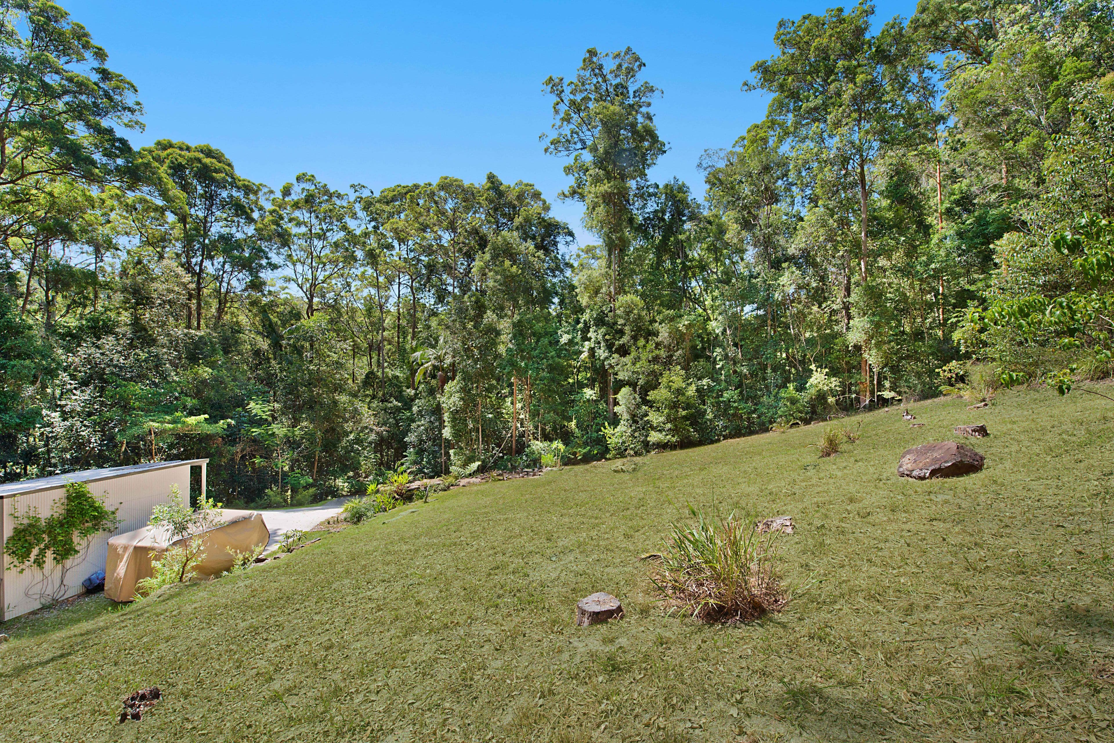 46 Toulambi Drive, Buderim QLD 4556, Buderim - Thumbnail 7