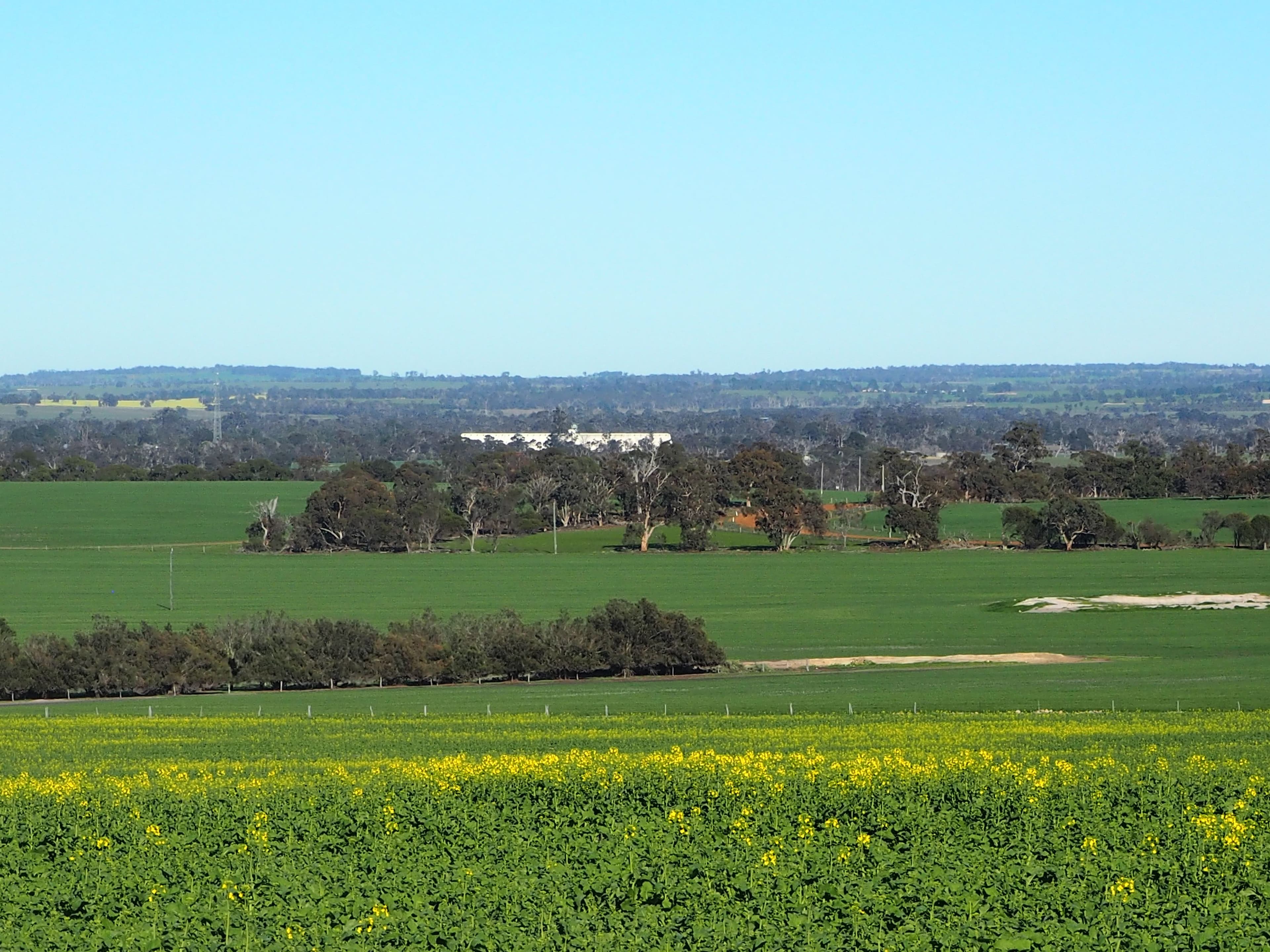 Somerset 359 Jam Creek Road, Tambellup WA 6320, Tambellup - Image 1