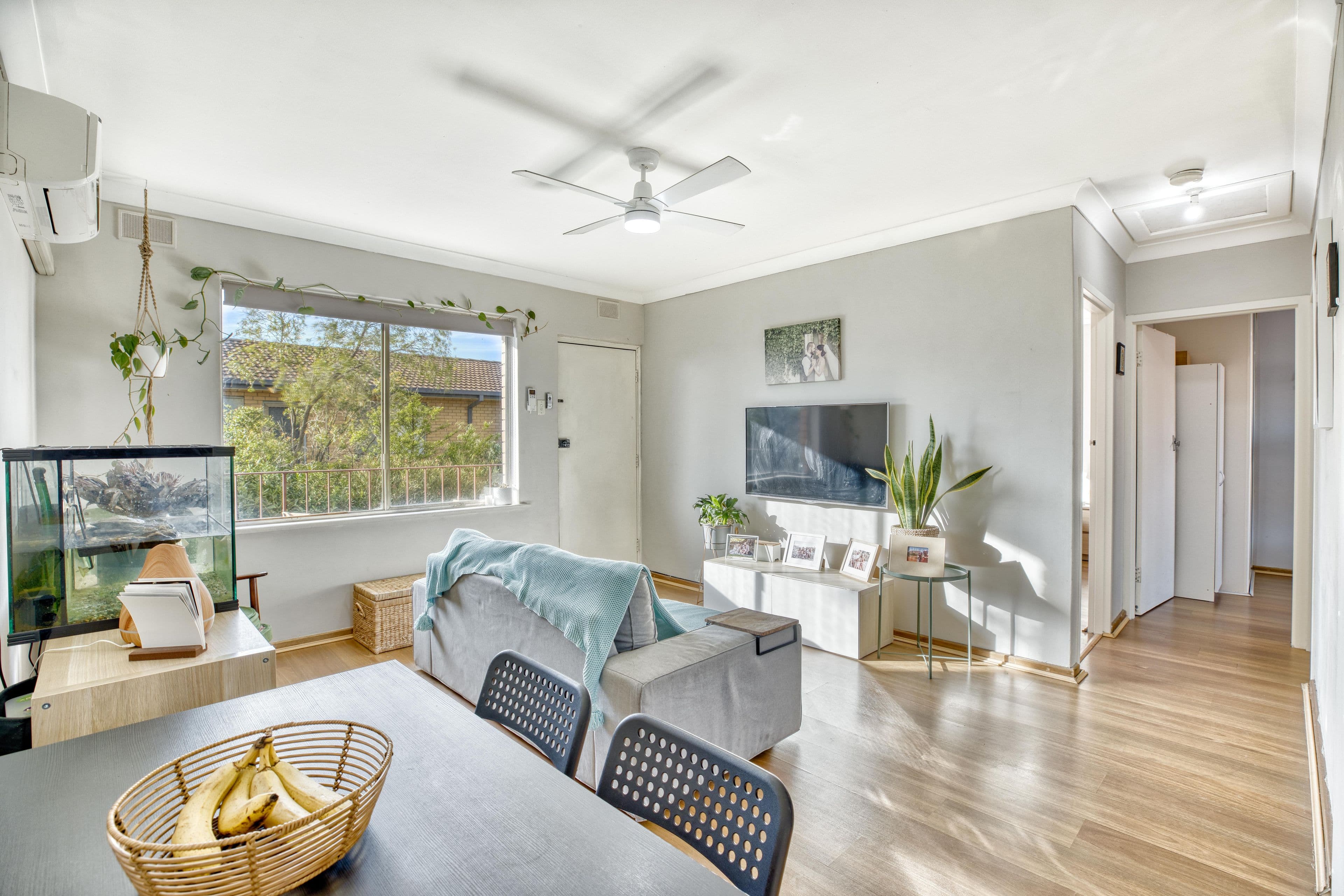63 Milner Road, Richmond SA 5033, Richmond - Thumbnail 6