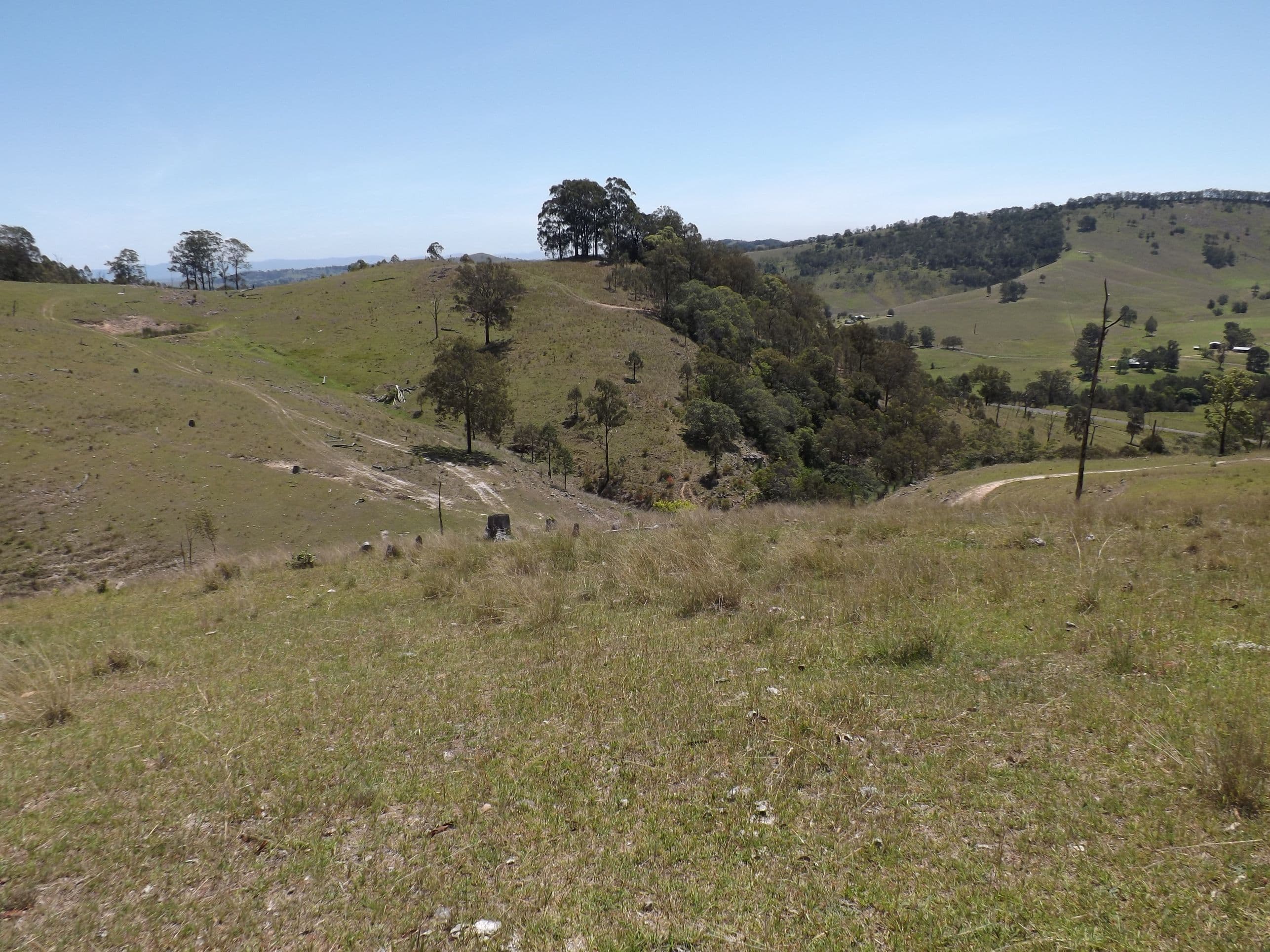 Lots 1 Carrowbrook Road, SINGLETON NSW 2330, Singleton - Thumbnail 6