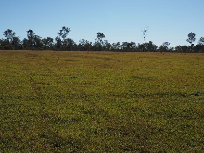 74 Glenbar Road, ST MARY QLD 4650, St Mary - Thumbnail 7