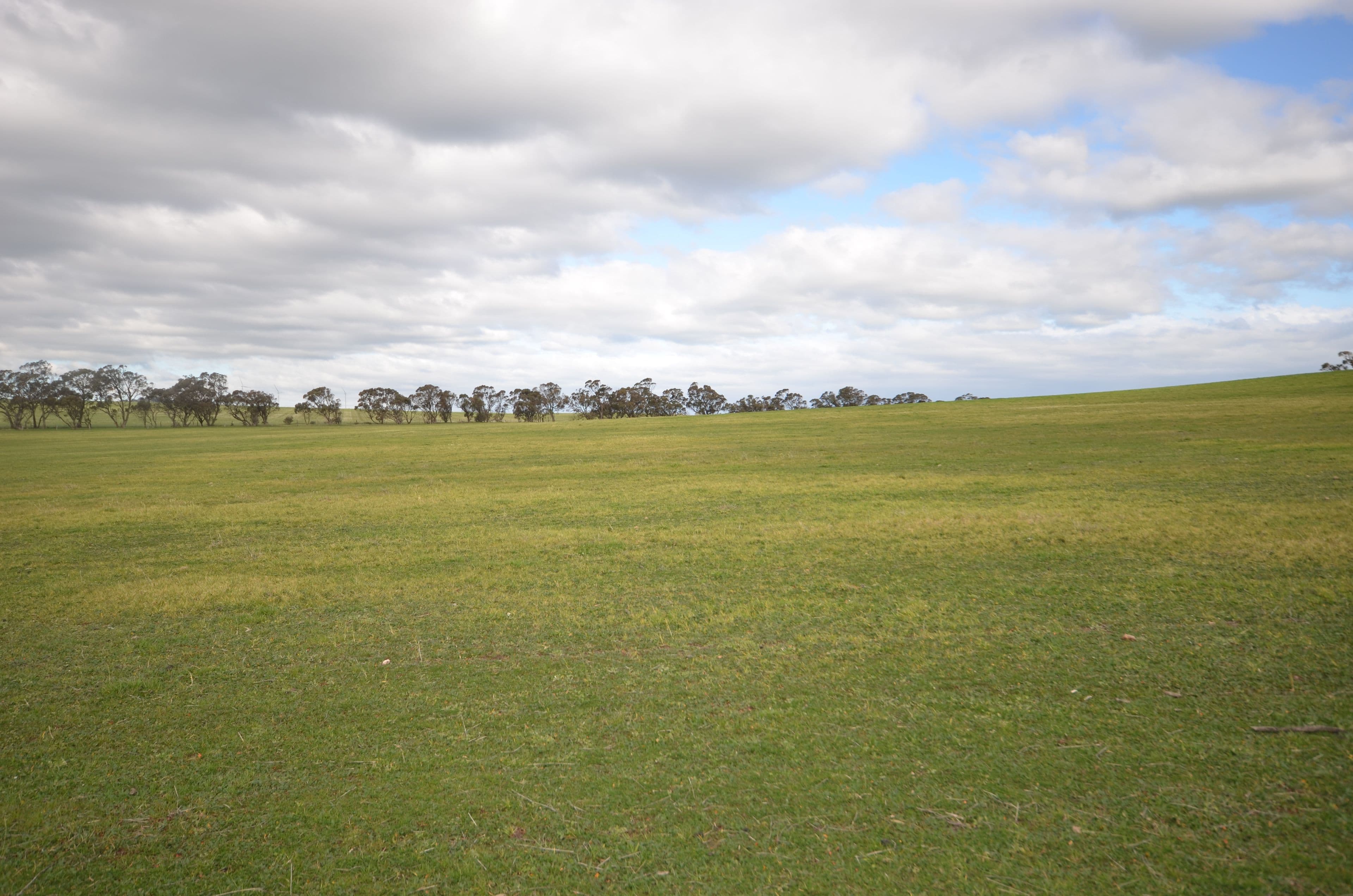 Felwake Main Road, Waterloo SA 5413, Waterloo - Thumbnail 8