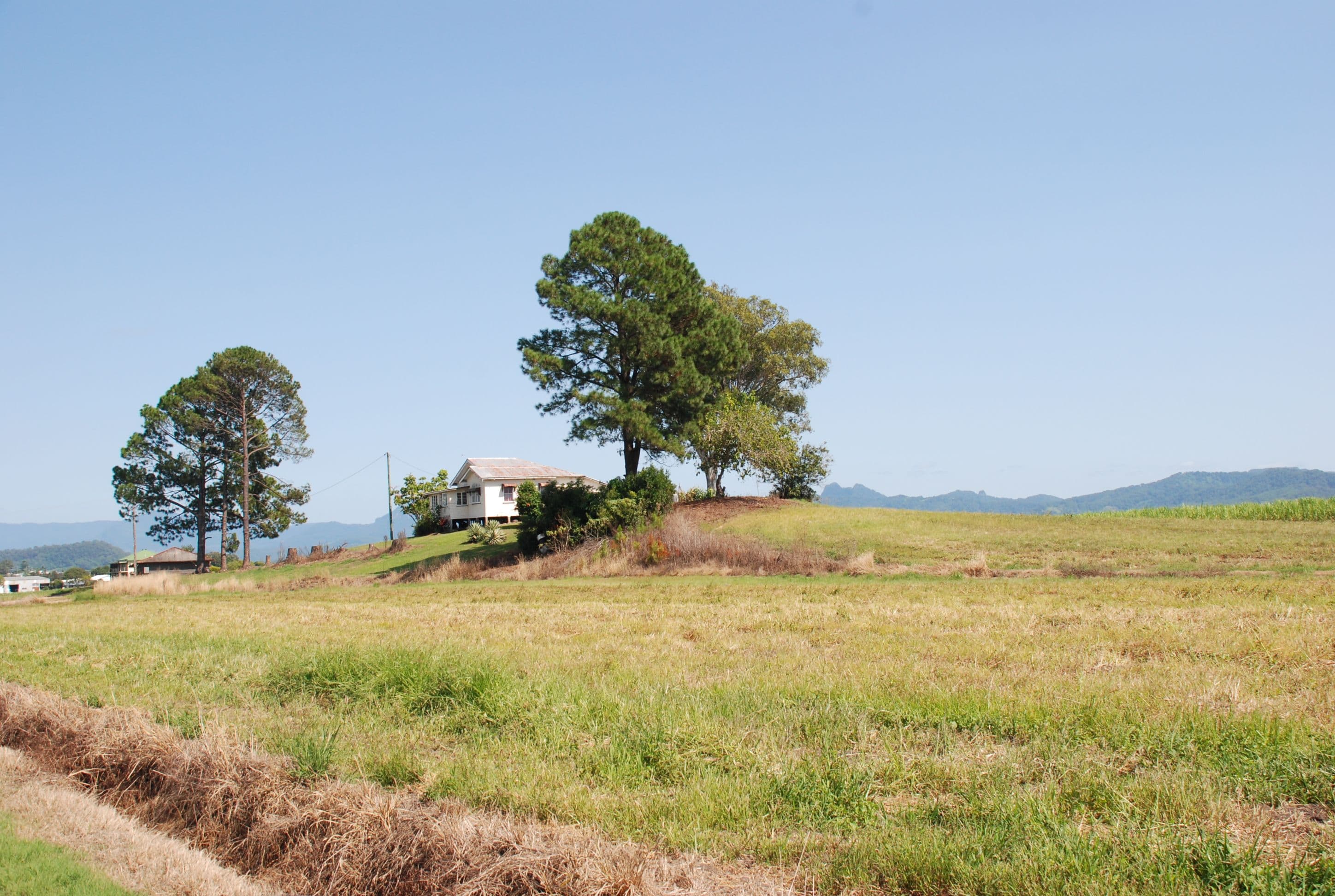 163 Reserve Creek Road, South Murwillumbah NSW 2484, South Murwillumbah - Image 1