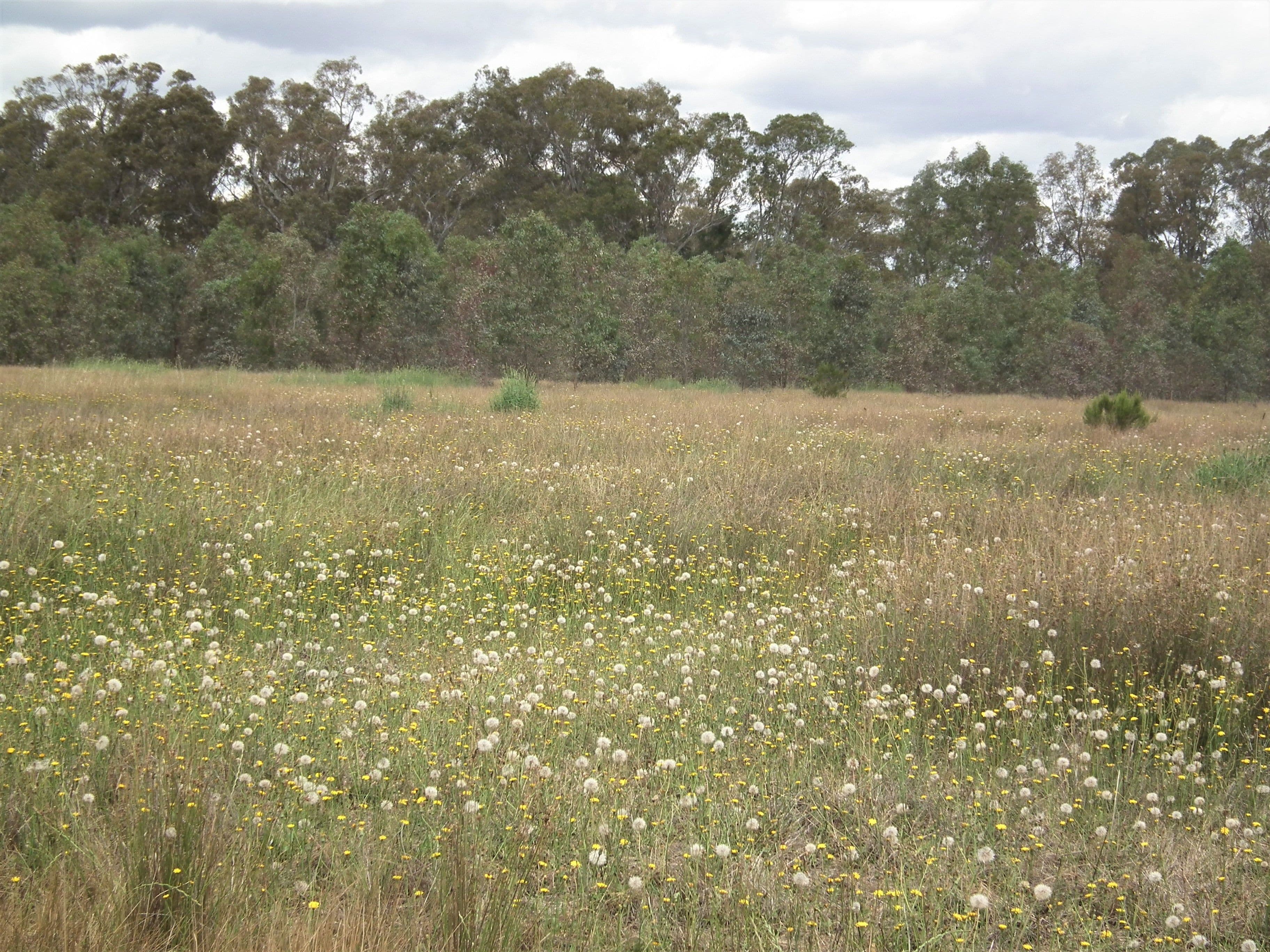 22 Wormangal-Wahring Road, Nagambie VIC 3608, Nagambie - Thumbnail 2