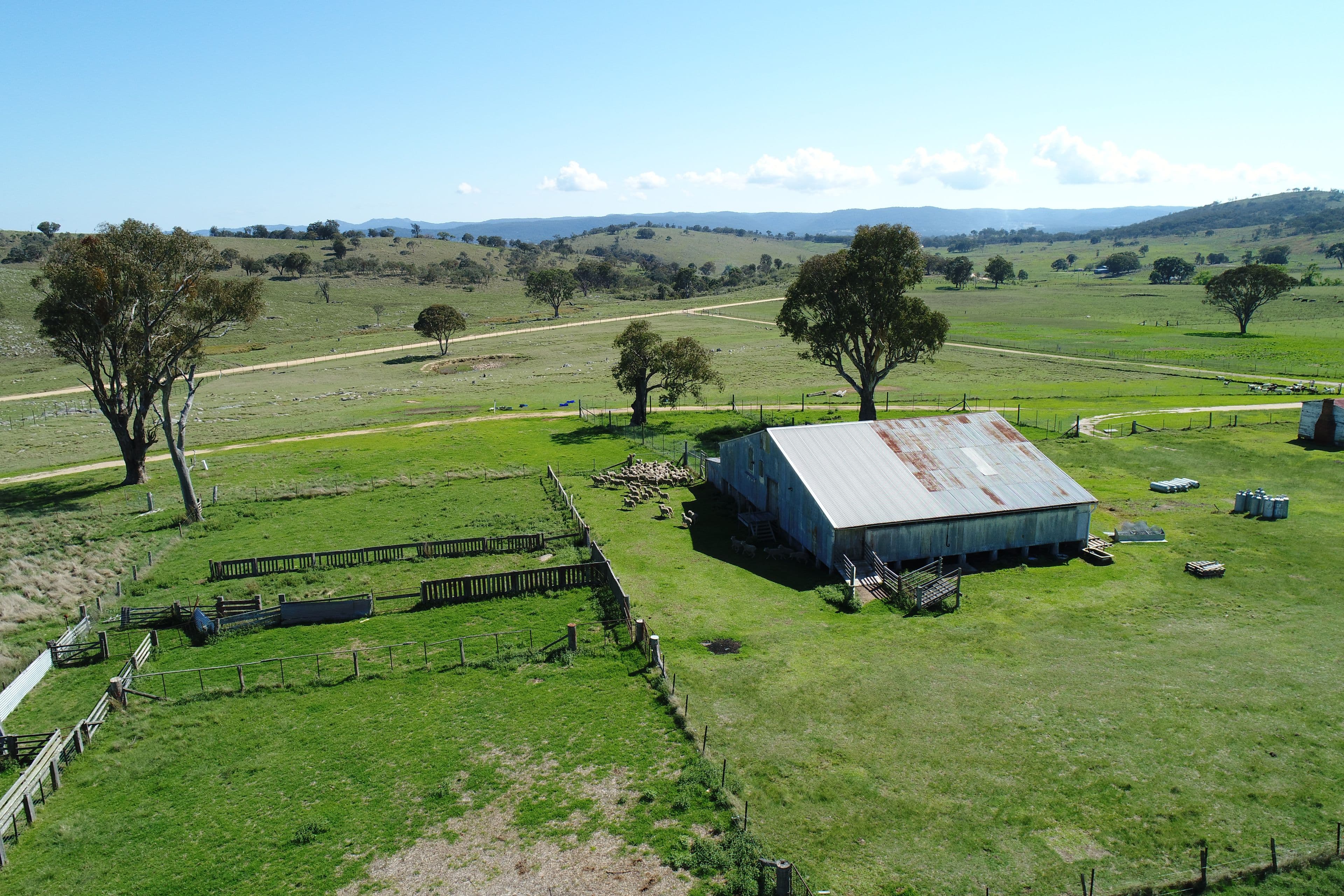 924a Kildare Road, Tenterfield NSW 2372, Tenterfield - Thumbnail 6