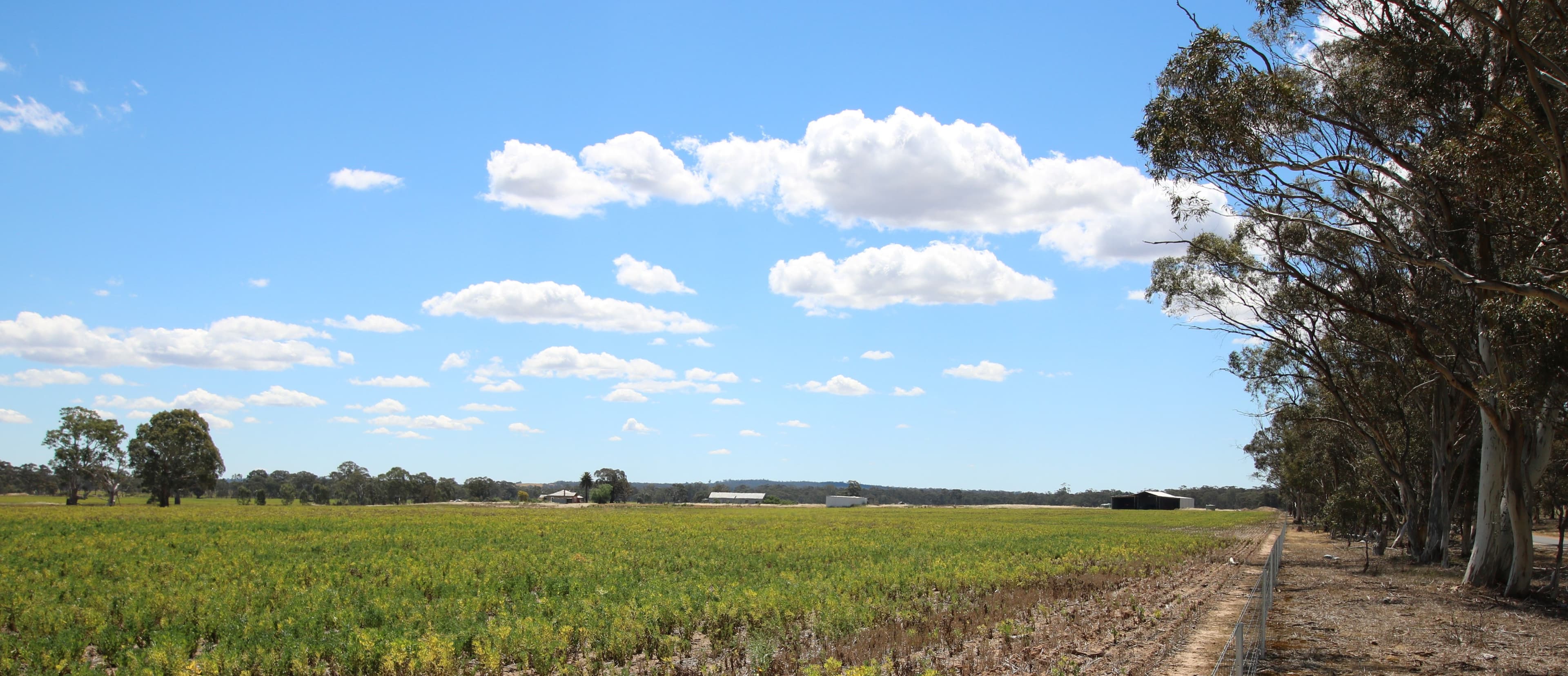 2665 Avoca Bealiba Road, Archdale VIC 3475, Archdale - Thumbnail 6
