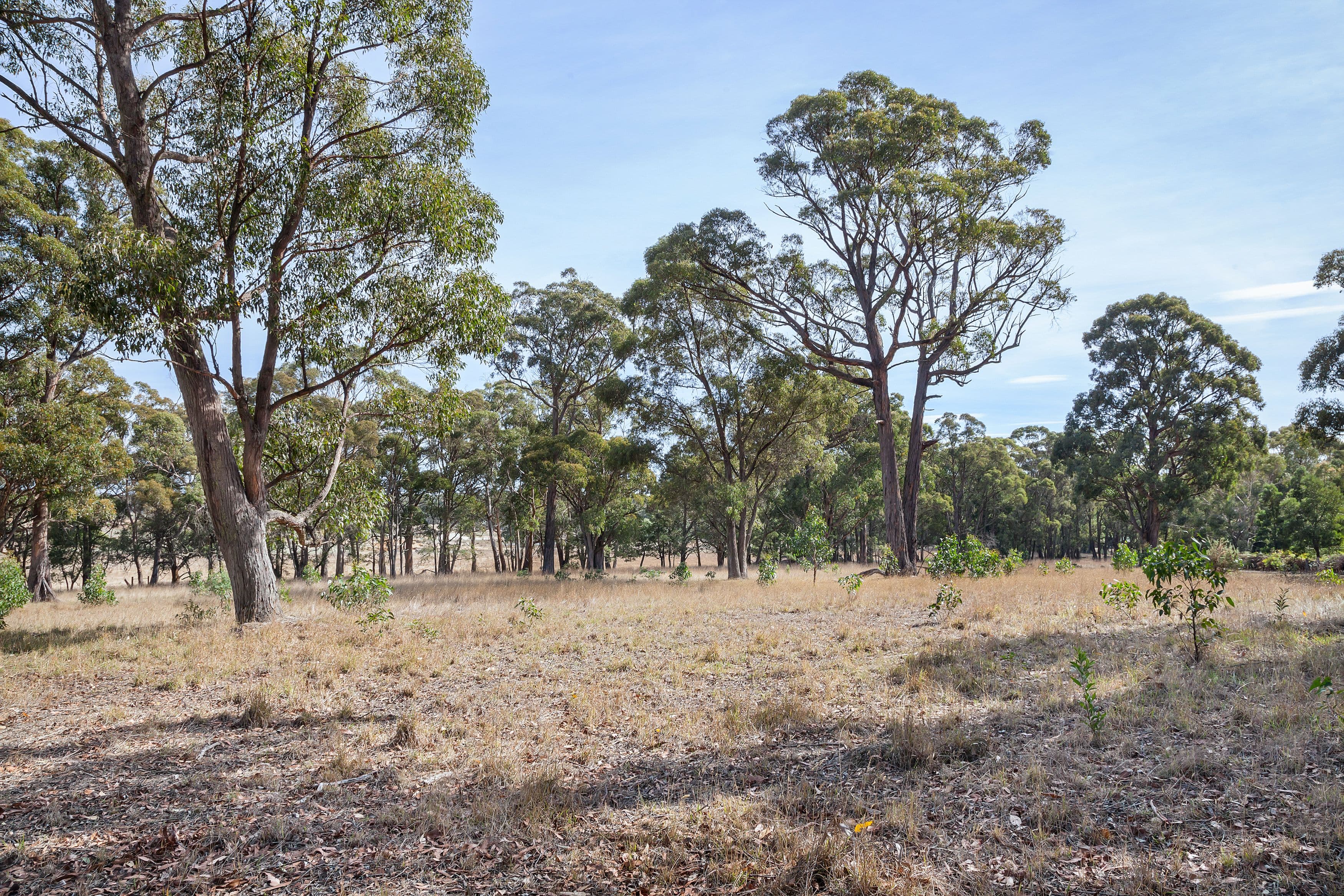 Lots 1 & 2 Yankee Flat Road, Mount Helen  Victoria  3350, Australia, Mount Helen - Thumbnail 6