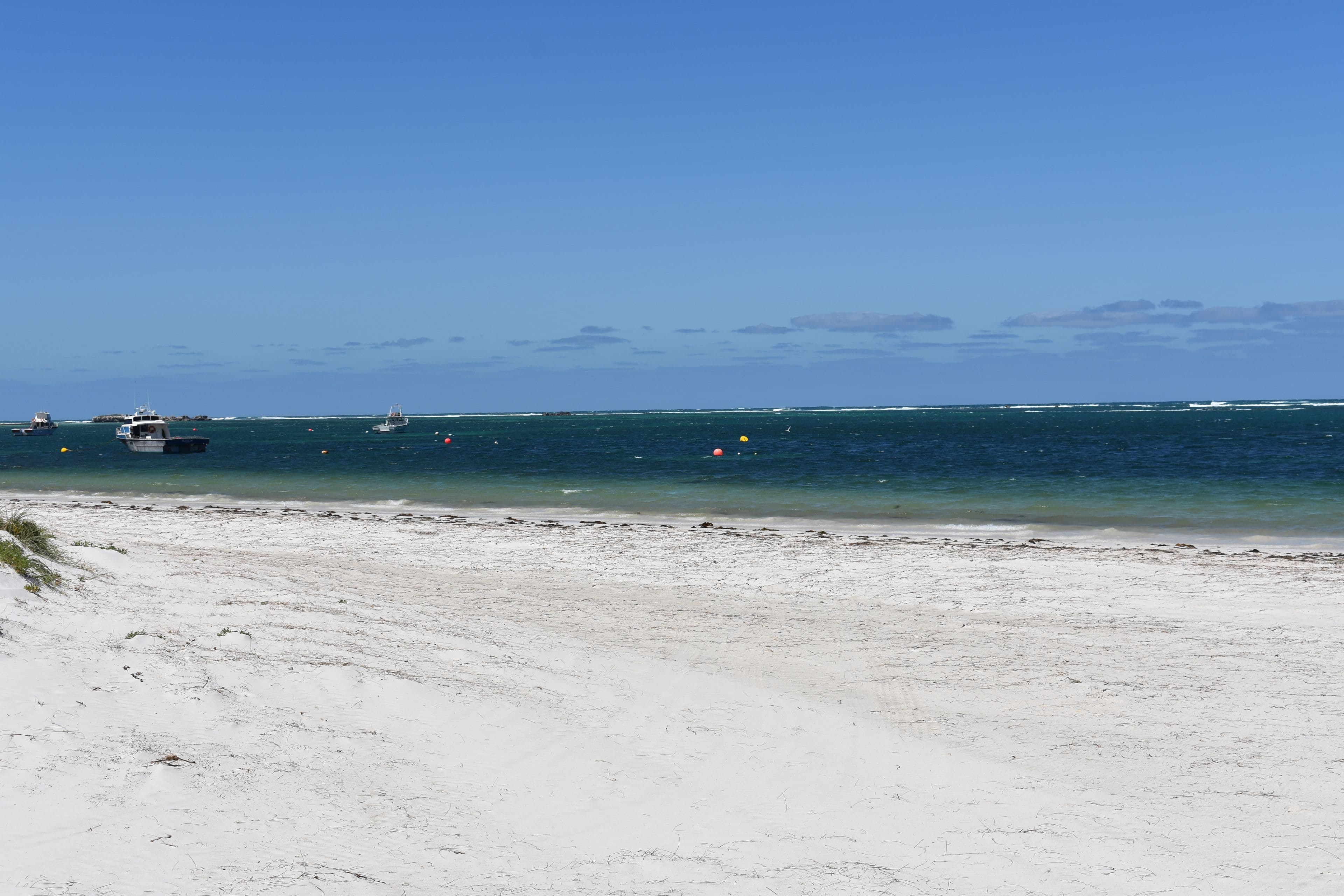 13 Whitfield Street, Lancelin WA 6044, Lancelin - Thumbnail 6