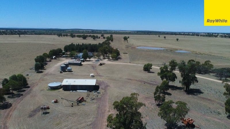 Argyle Downs 44 Woodford Road, BRUIE PLAINS NSW 2875, Bruie Plains - Thumbnail 7