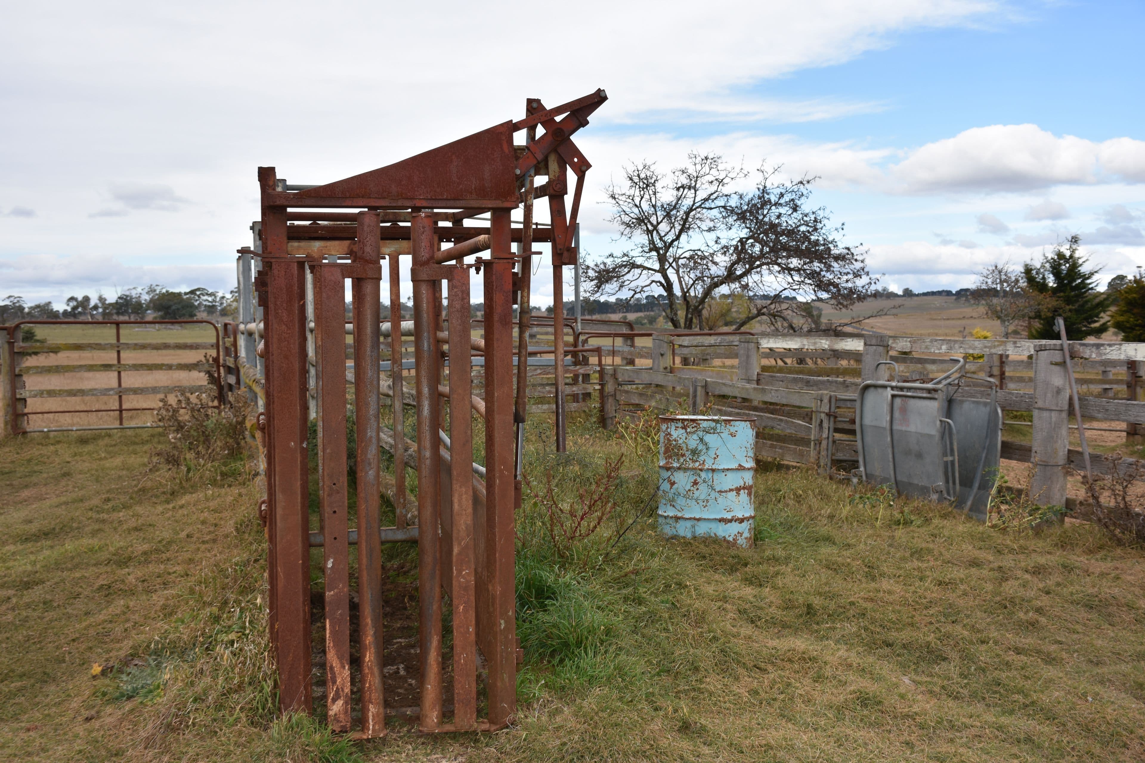 1325 Red Range Road, Glen Innes NSW 2370, Glen Innes - Thumbnail 5