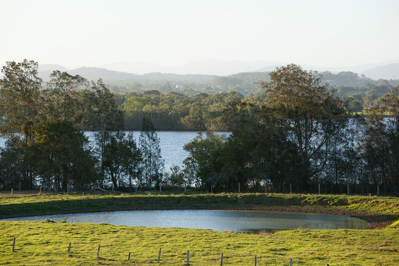 35 Woodlands Road, Pampoolah NSW 2430, Pampoolah - Thumbnail 4