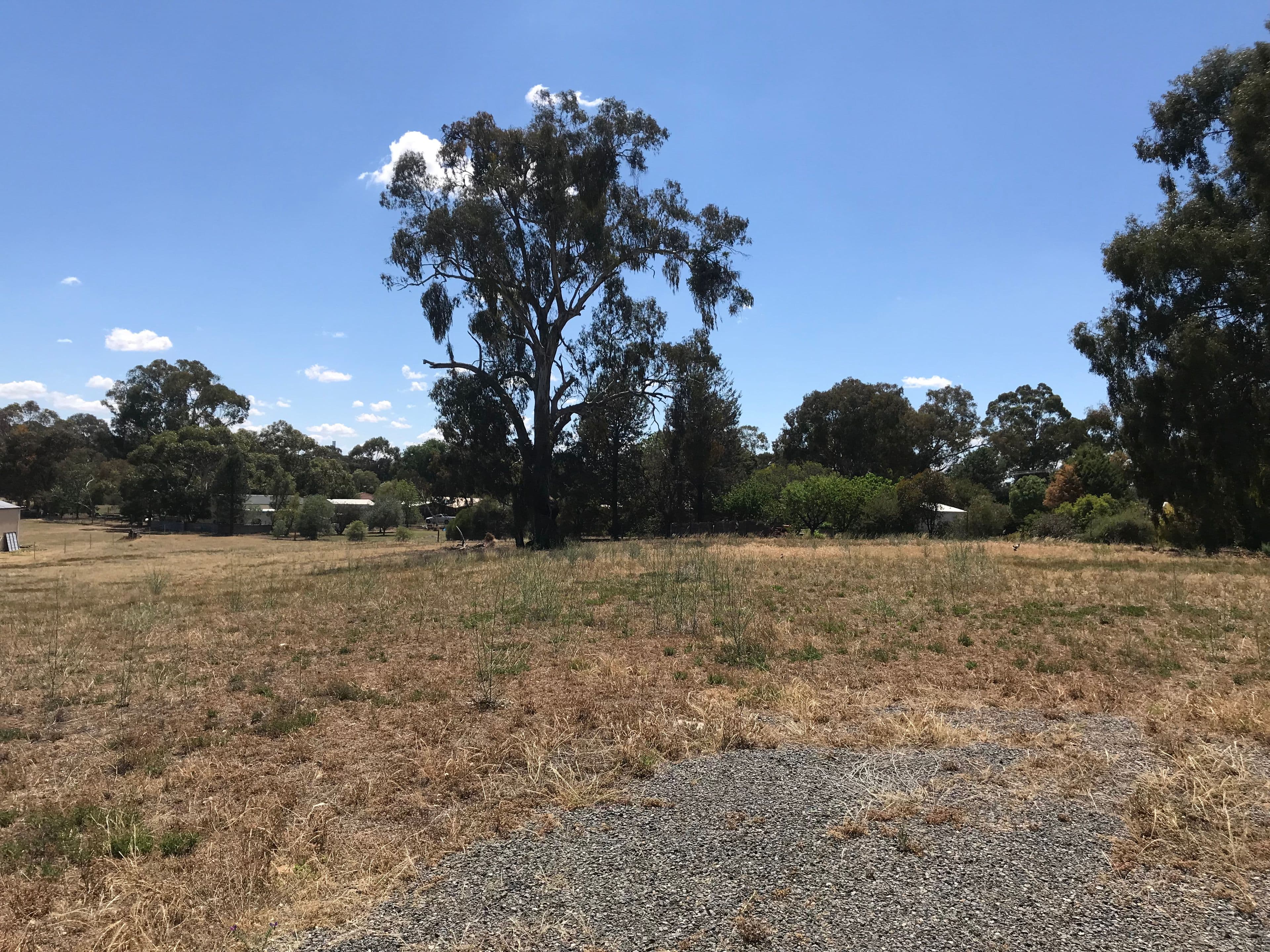 11-12 Ghost Gum Court, Mulwala NSW 2647, Mulwala - Thumbnail 2