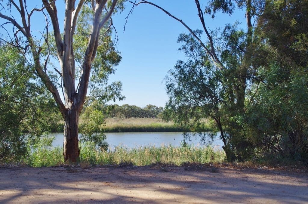 4 Sorrento Court, Renmark SA 5341, Renmark - Image 1