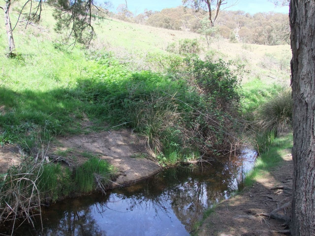 Bathurst NSW 2795, Bathurst - Thumbnail 8