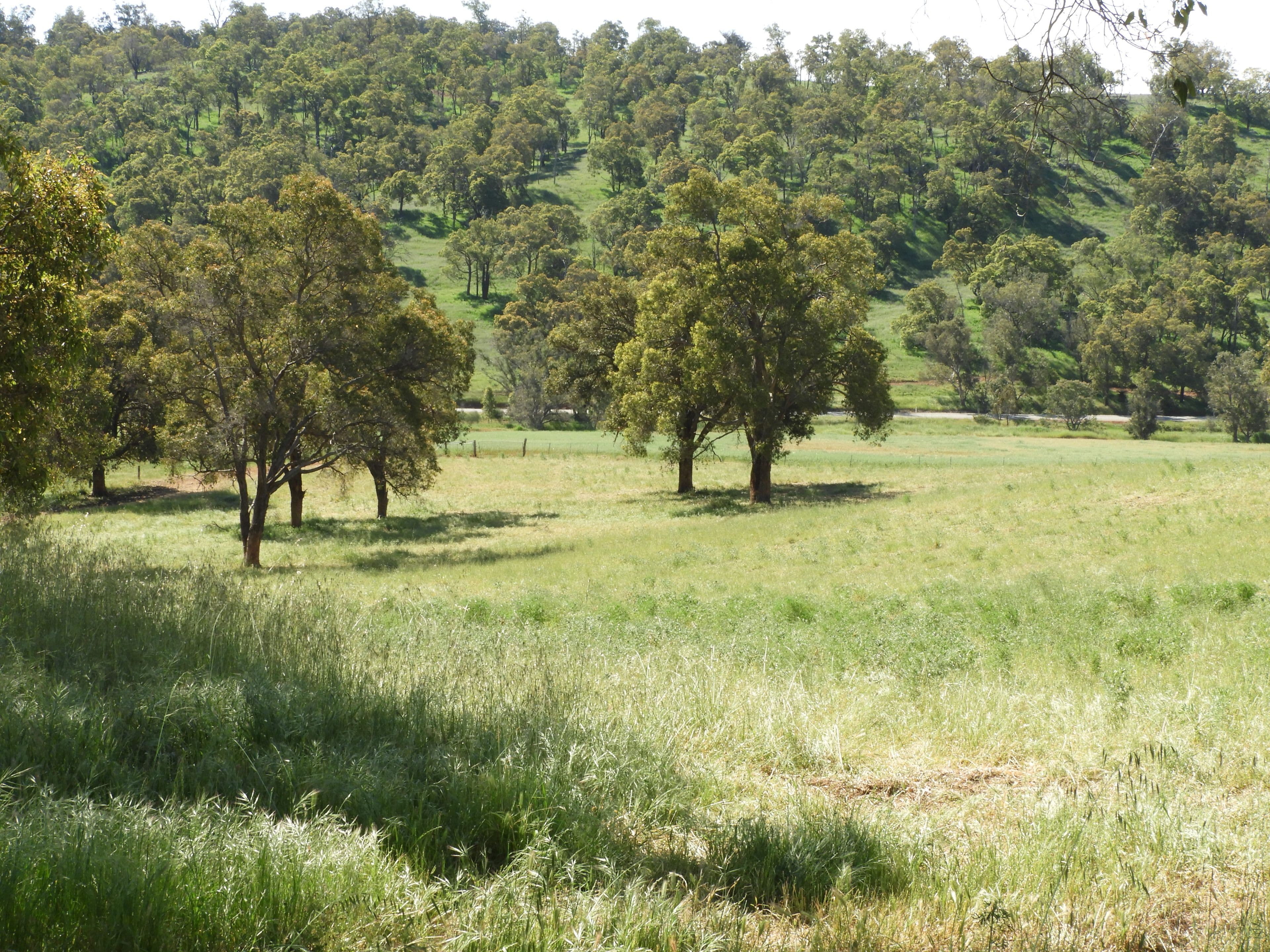 Lot 713 Chittering Rd Lower Chittering, Chittering WA 6084, Chittering - Image 1