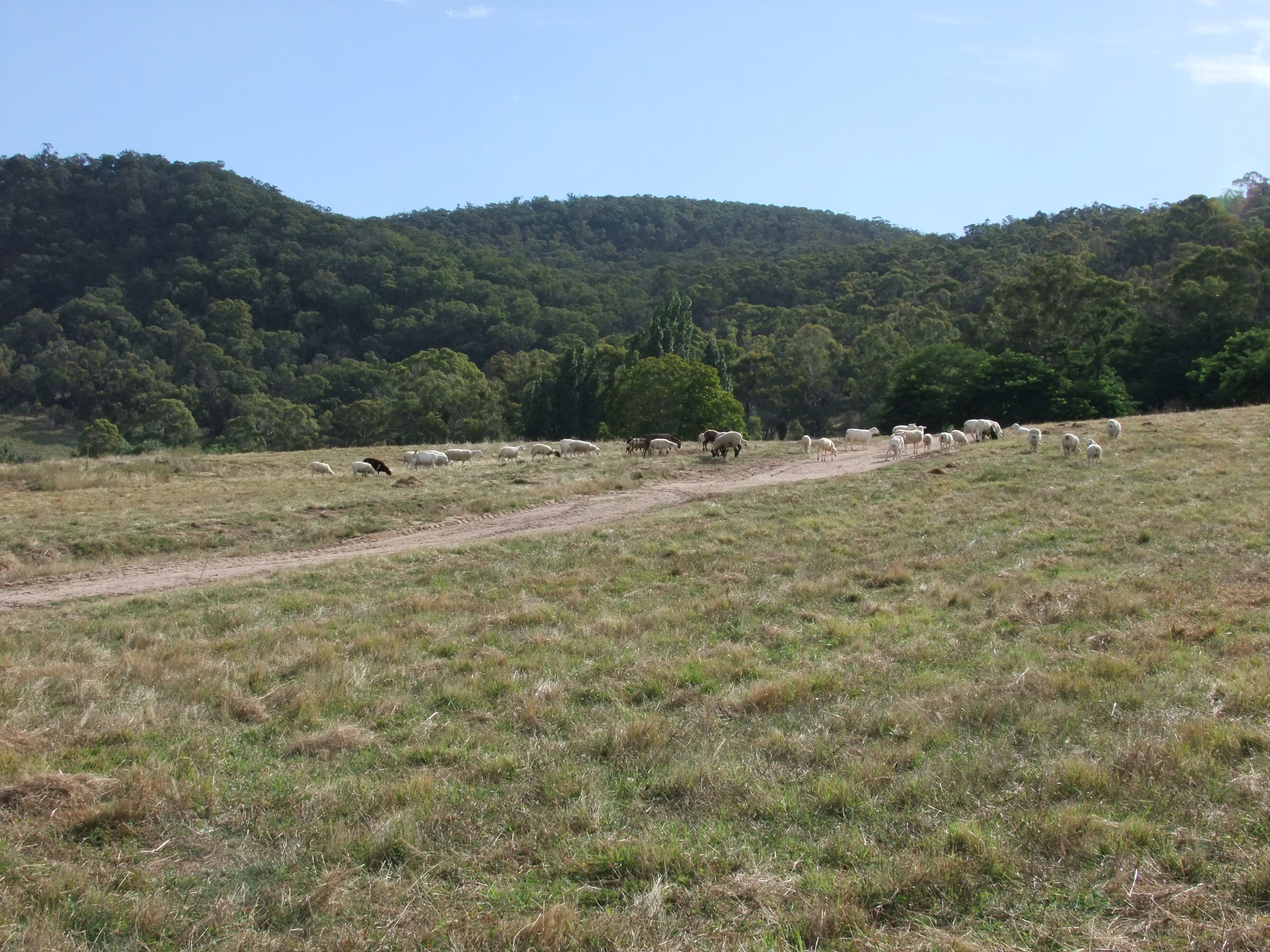 Tarana NSW 2787, Tarana - Thumbnail 8