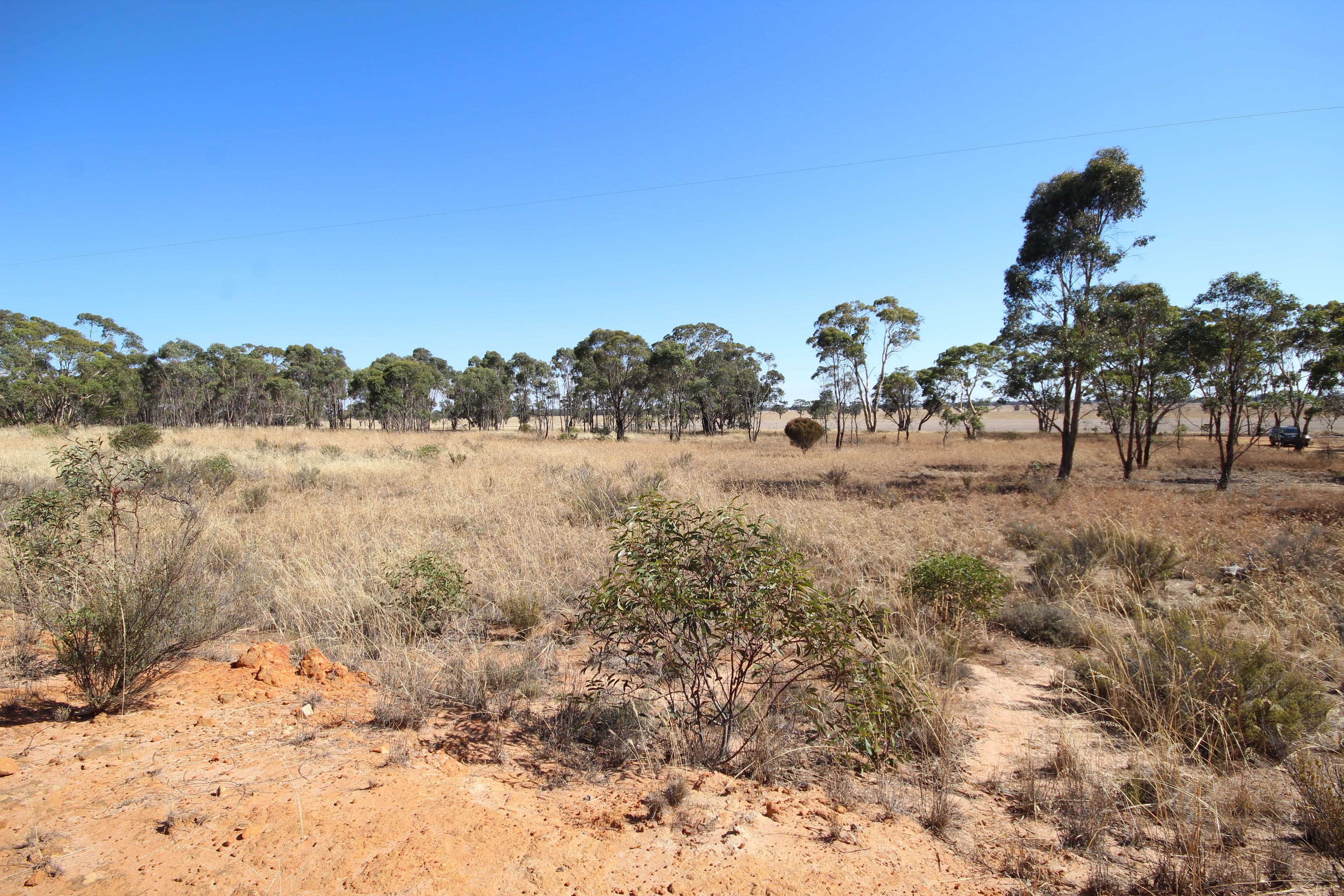 Lot 2 Mitre Road, Nurcoung VIC 3401, Nurcoung - Thumbnail 4