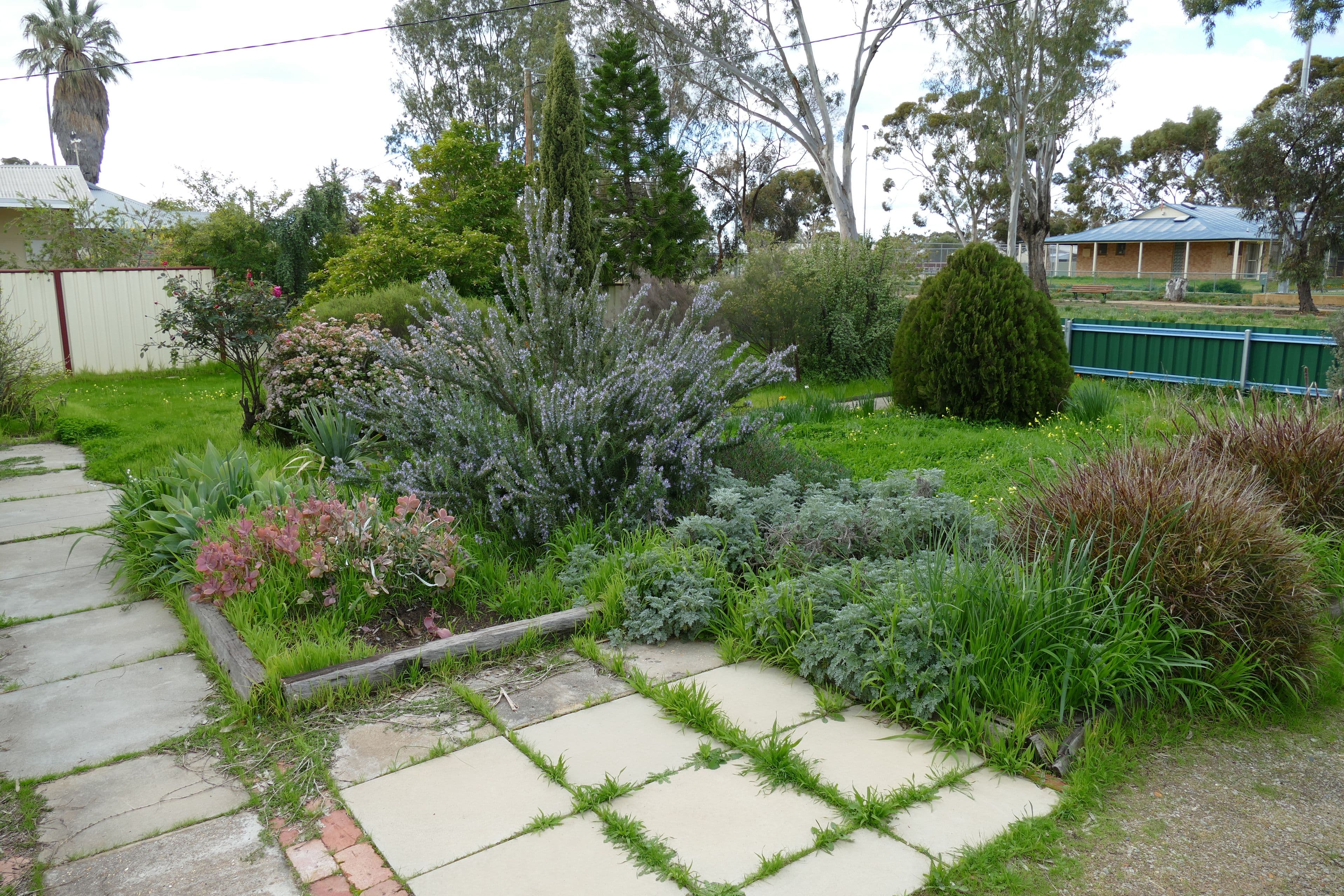 82 Gardiner Street, Moora WA 6510, Moora - Image 1
