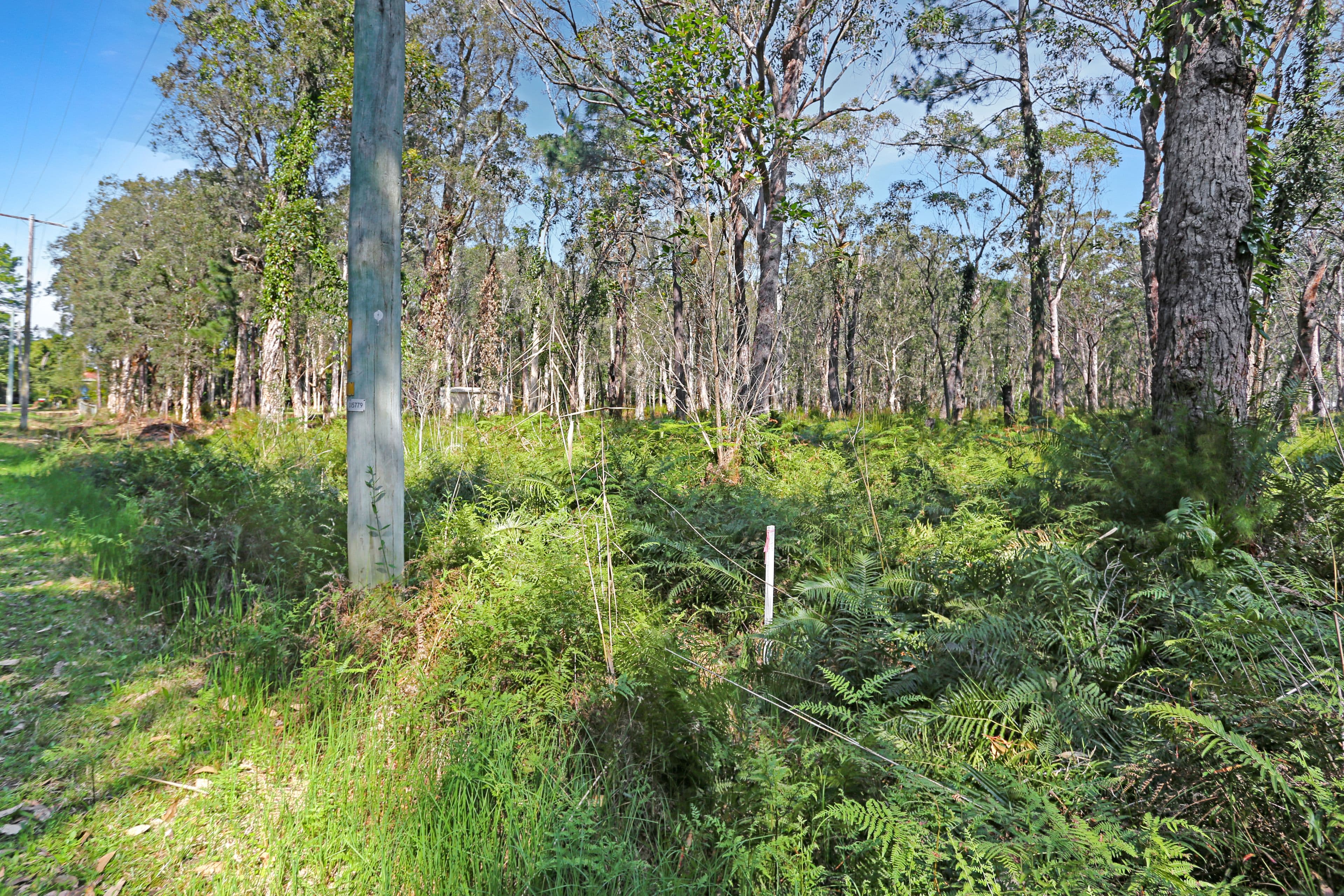 122-126 Koree Street, Pindimar NSW 2324, Pindimar - Thumbnail 3