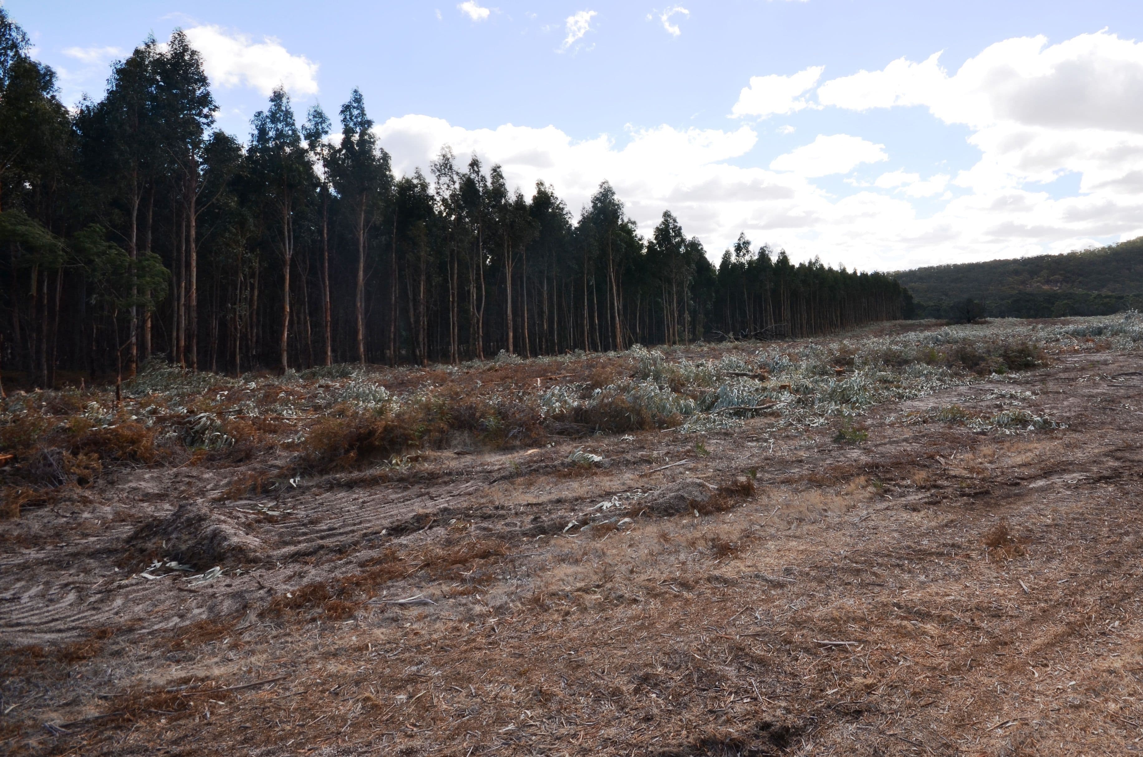 "Cox" Wildes Lane, BAYINDEEN VIC 3375, Bayindeen - Thumbnail 8