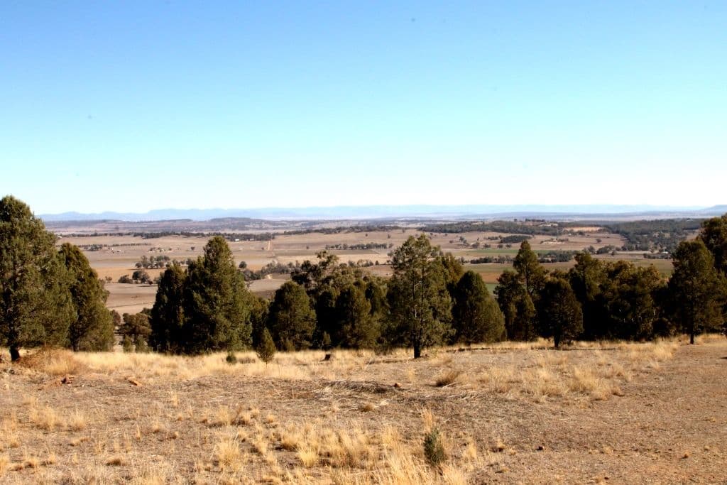 61 Ray Carter Drive, Quirindi NSW 2343, Quirindi - Thumbnail 3