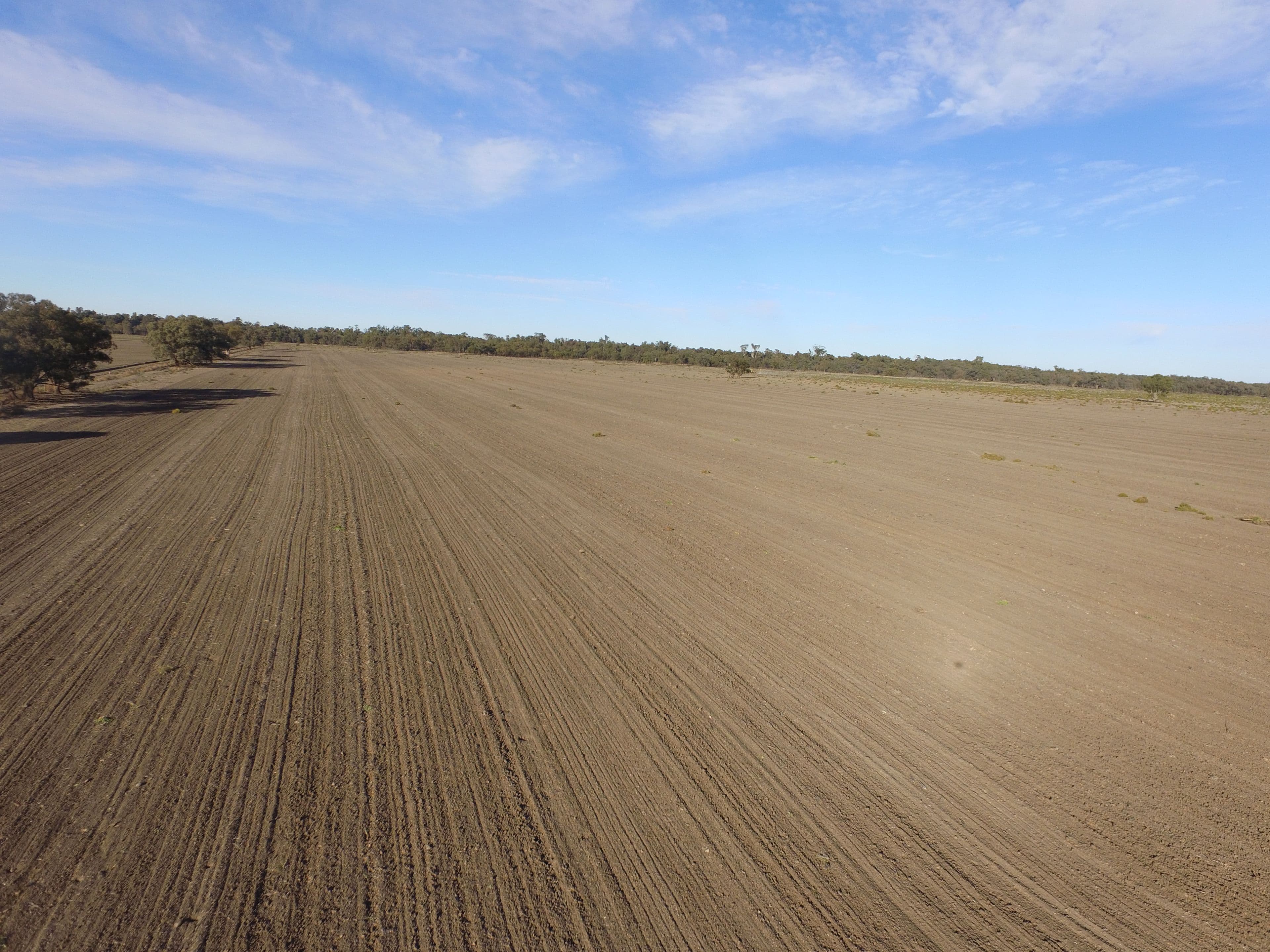 Kalinga 4488 Kiacatoo Road, Condobolin NSW 2877, Condobolin - Thumbnail 6