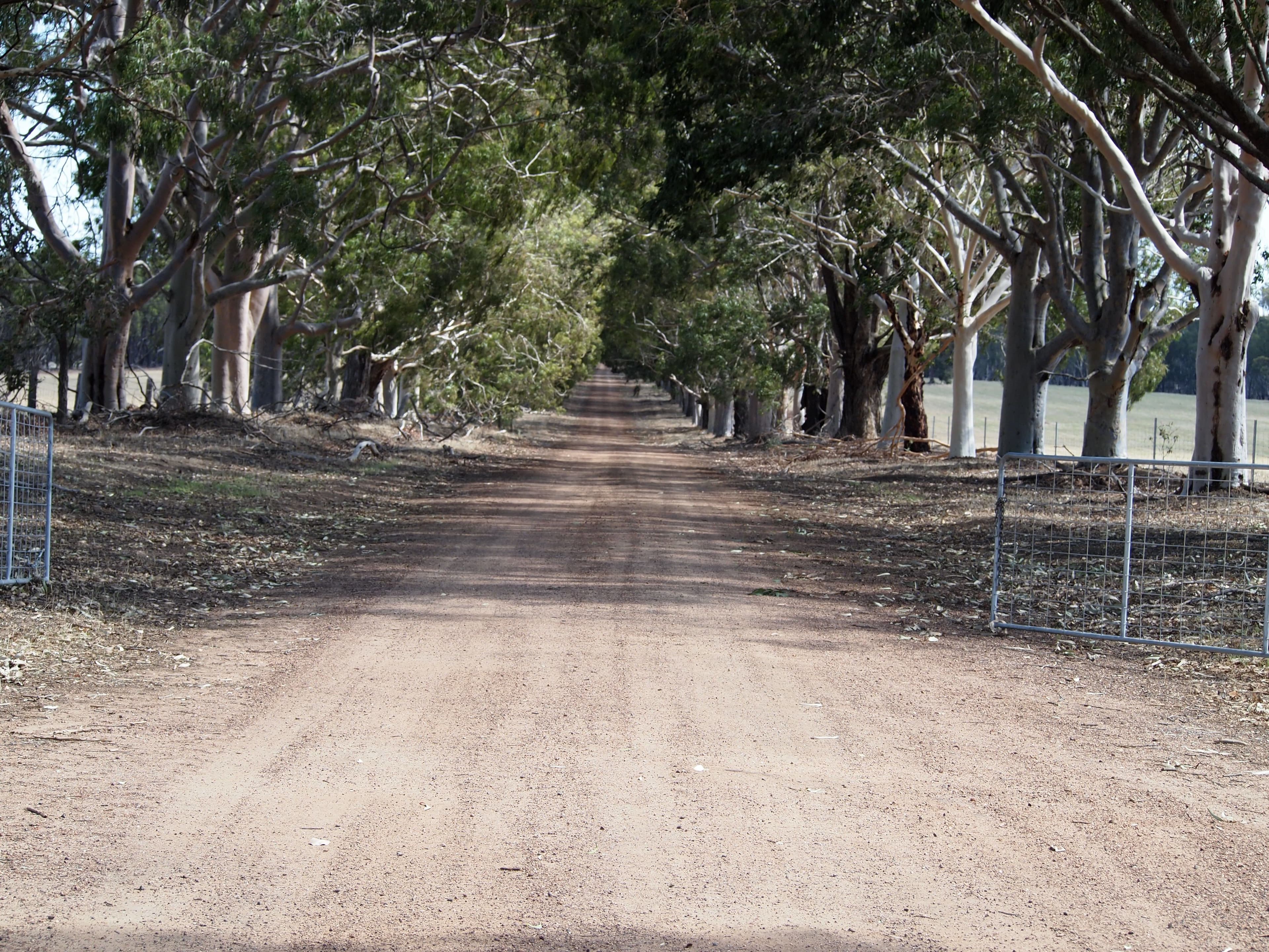 Maringee Farm, Trigwell Bridge Road, Darkan WA 6392, Darkan - Thumbnail 4