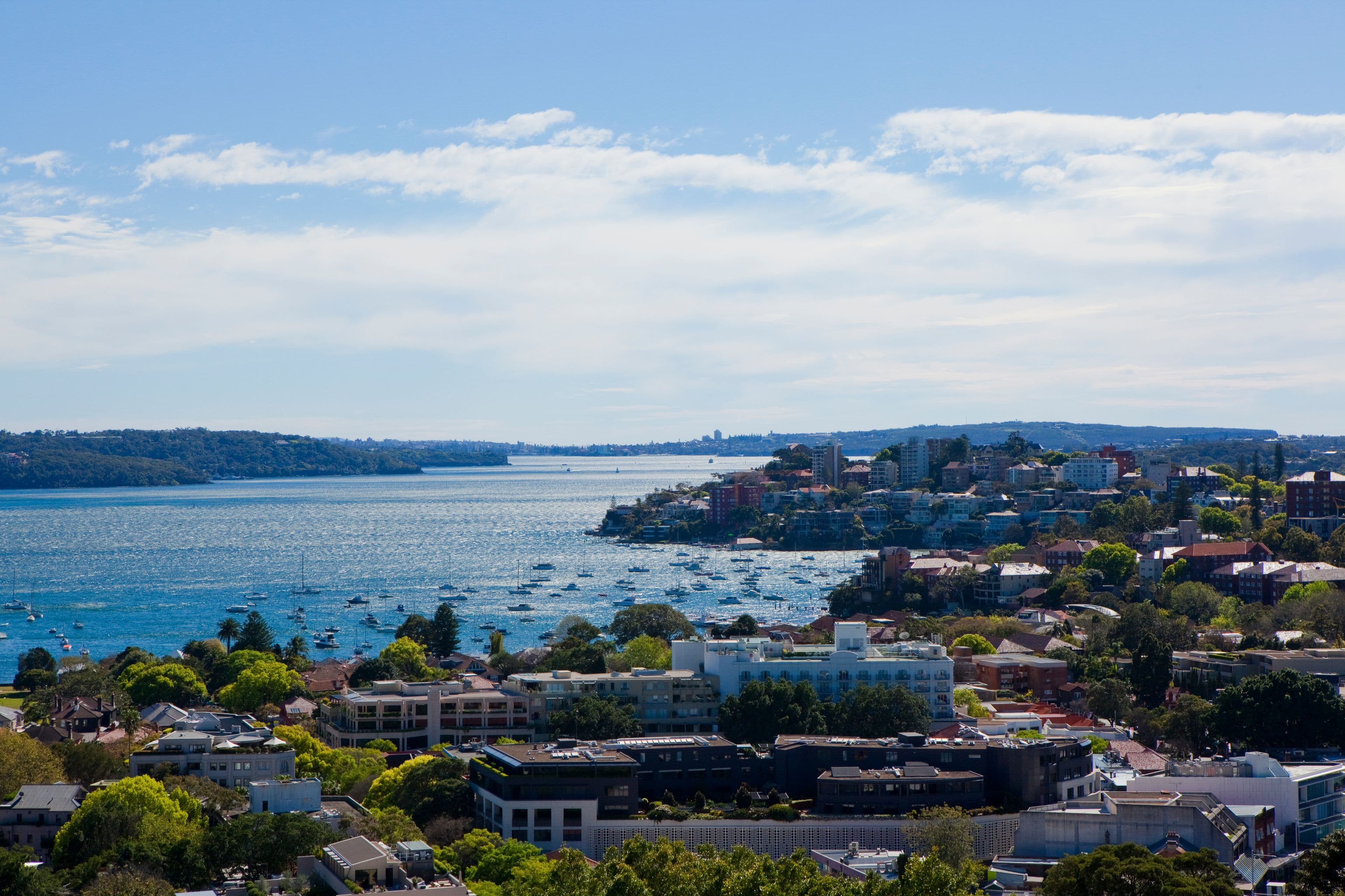 22 Albert Street, Edgecliff NSW 2027, Edgecliff - Thumbnail 4