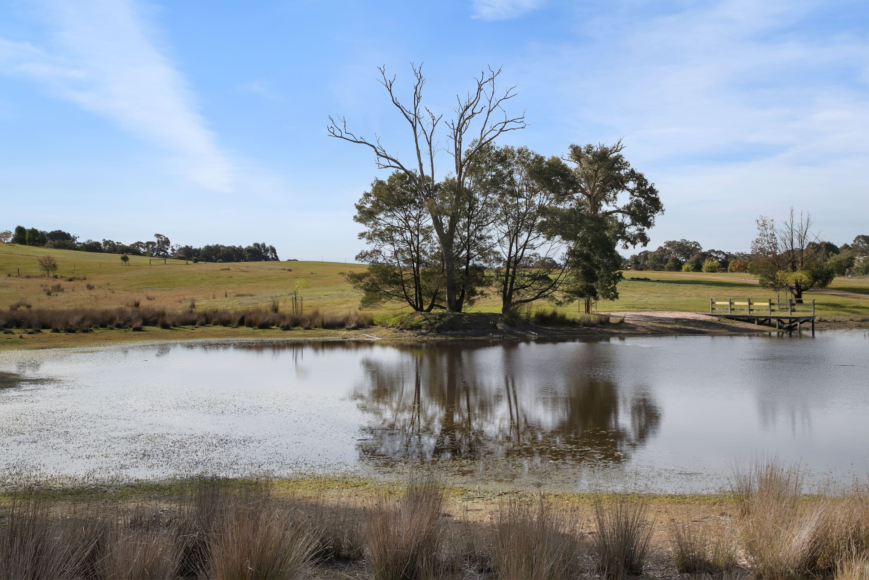 132 Rifle Butts Road, Beaufort VIC 3373, Beaufort - Thumbnail 2