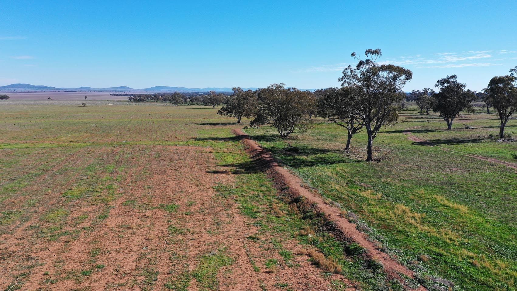 590 Round Hill Road "Inverary", Piallaway NSW 2342, Piallaway - Thumbnail 8