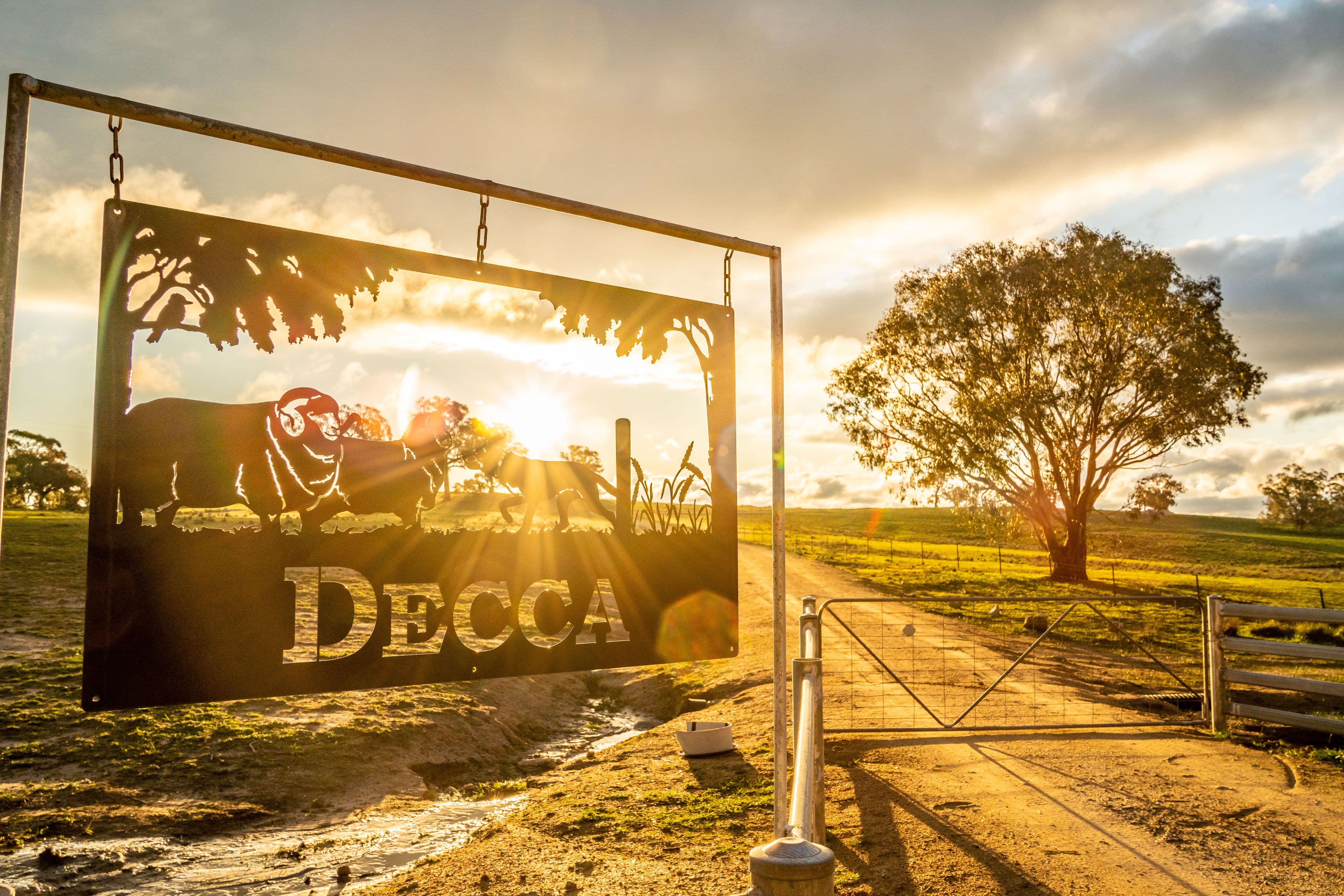 635 Decca Road, Bigga NSW 2583, Bigga - Thumbnail 3