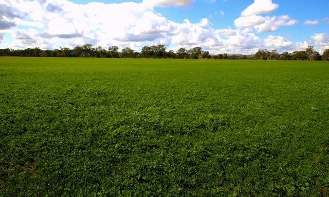 Monto QLD 4630, Monto - Thumbnail 4