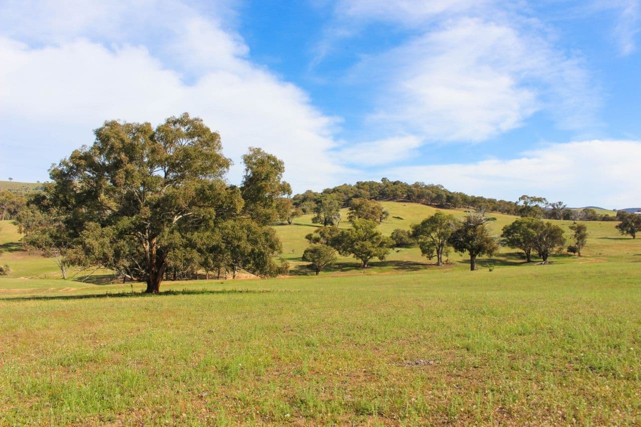 2529 Sofala Road, Bathurst NSW 2795, Bathurst - Thumbnail 3