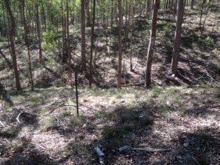 187 McKey Road, Crossdale QLD 4312, Crossdale - Thumbnail 3