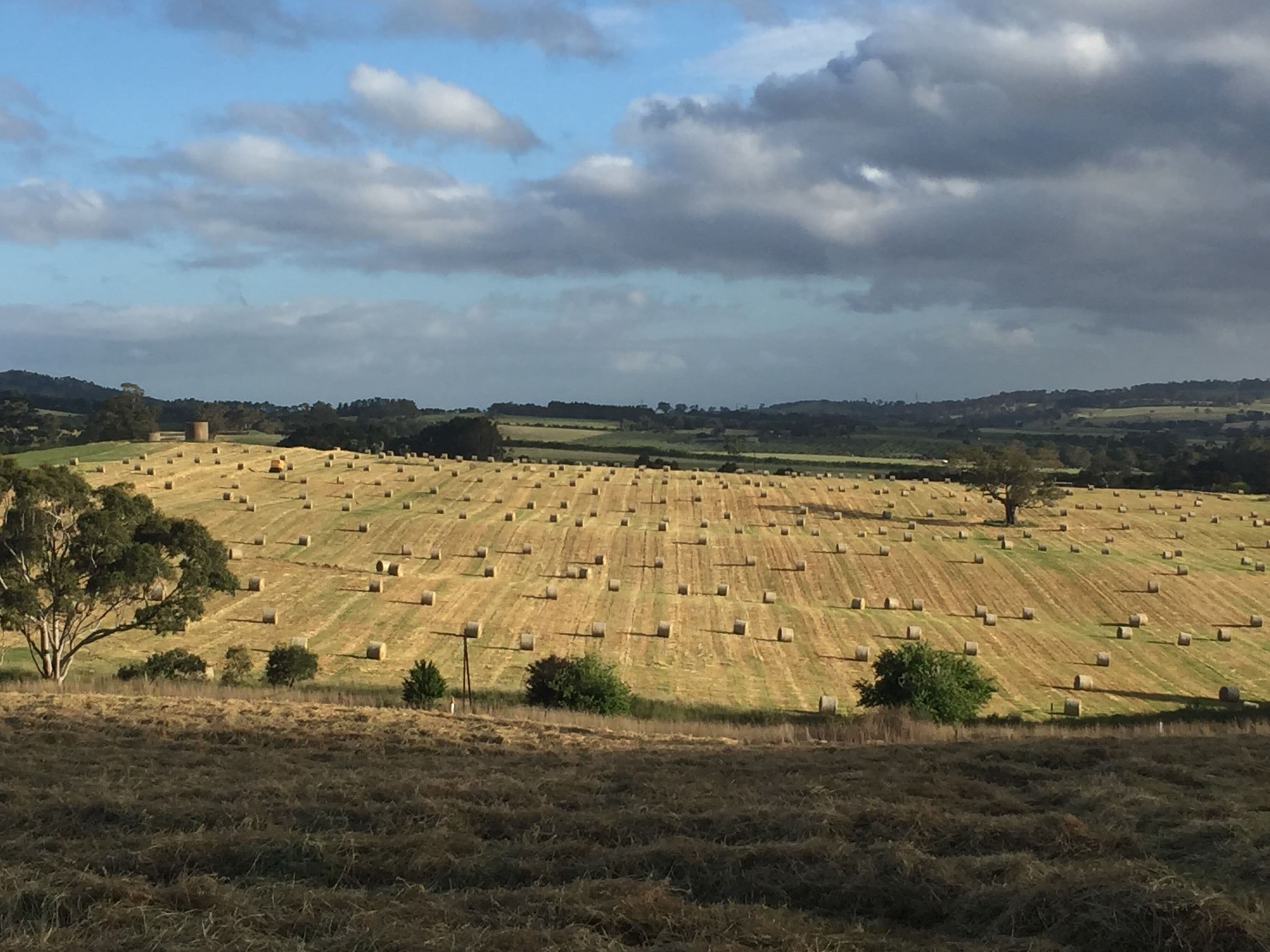 301 & 302 Old Princes Highway, Nairne SA 5252, Nairne - Thumbnail 4