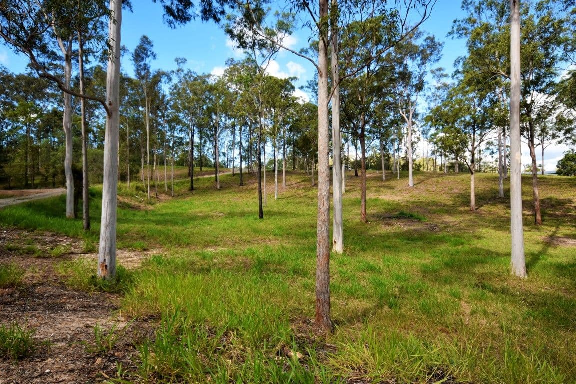 282 Raynbird Road, Narangba QLD 4504, Narangba - Thumbnail 3