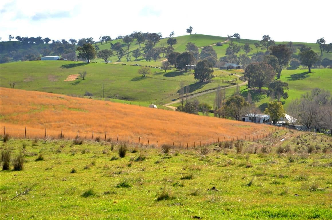 'Tanyard Creek' Stantons Road, ADELONG NSW 2729, Adelong - Thumbnail 4