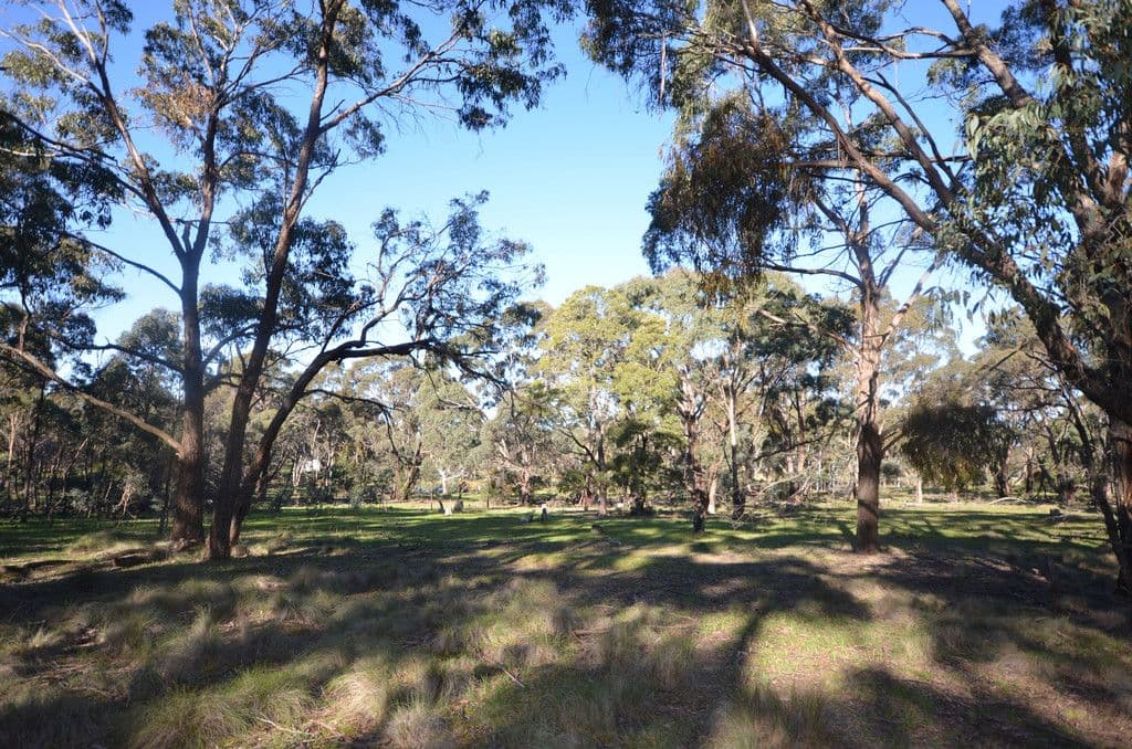 CA 8 Armstrong Lane, WATERLOO VIC 3373, Waterloo - Thumbnail 2