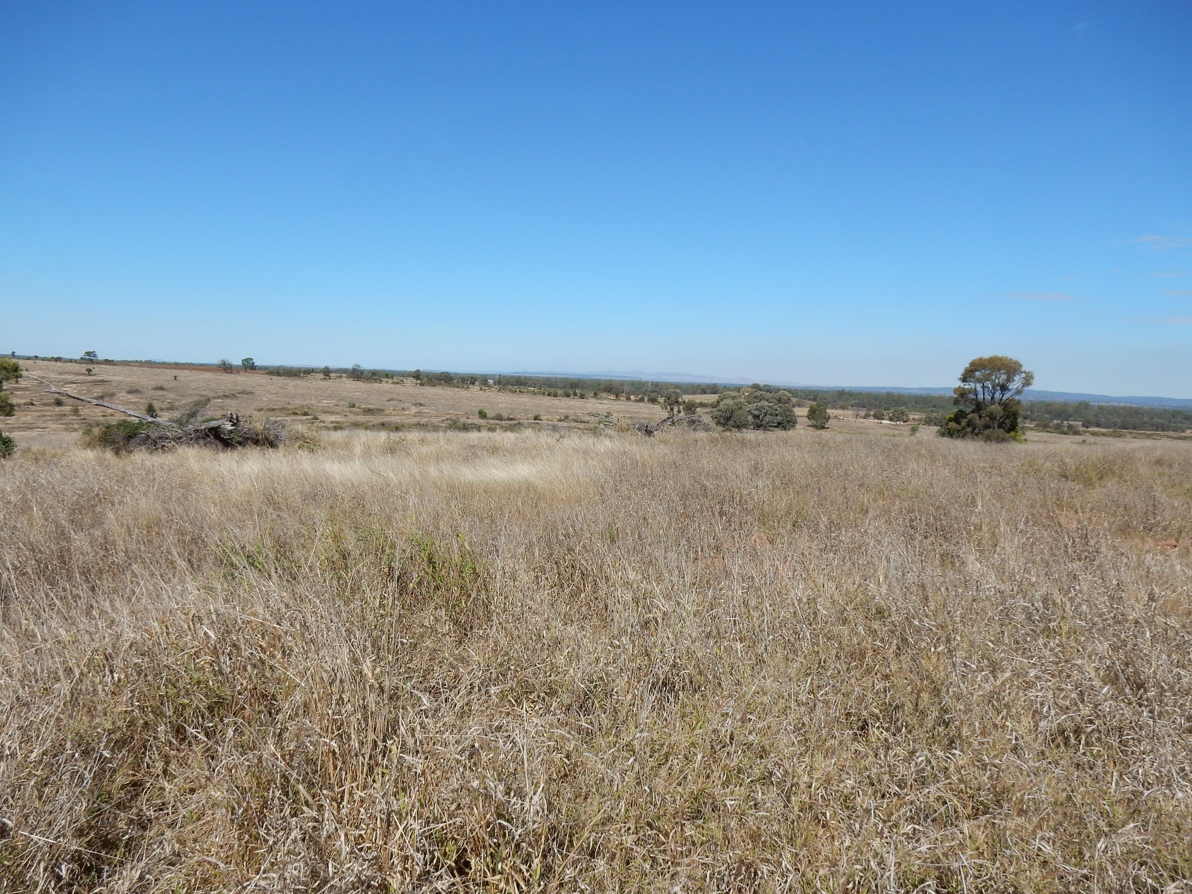 Goovigen QLD 4702, Goovigen - Thumbnail 4